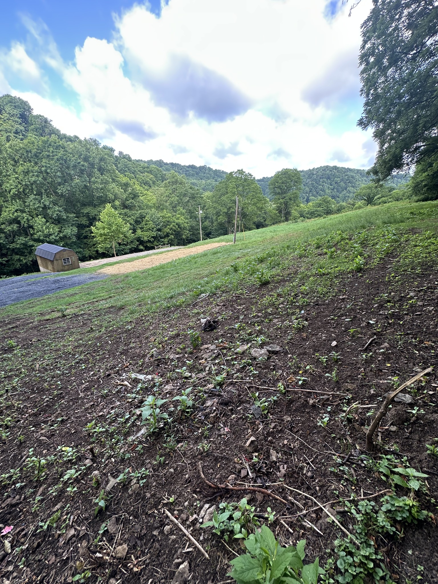 45 Friendship Hollow Rd N, Pleasant Shade, TN 37145