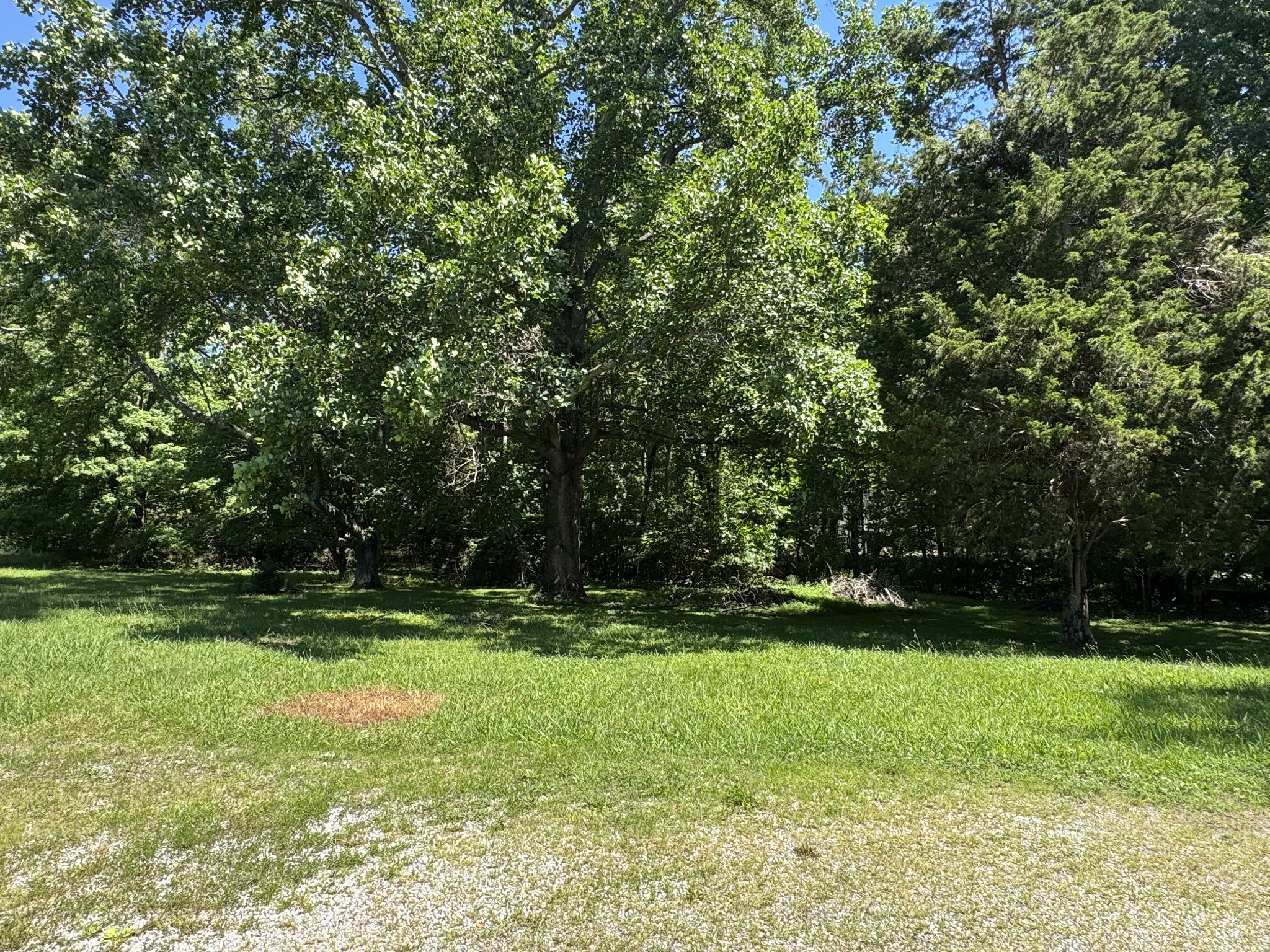 2768 Bellar Rd, Greenbrier, TN 37073