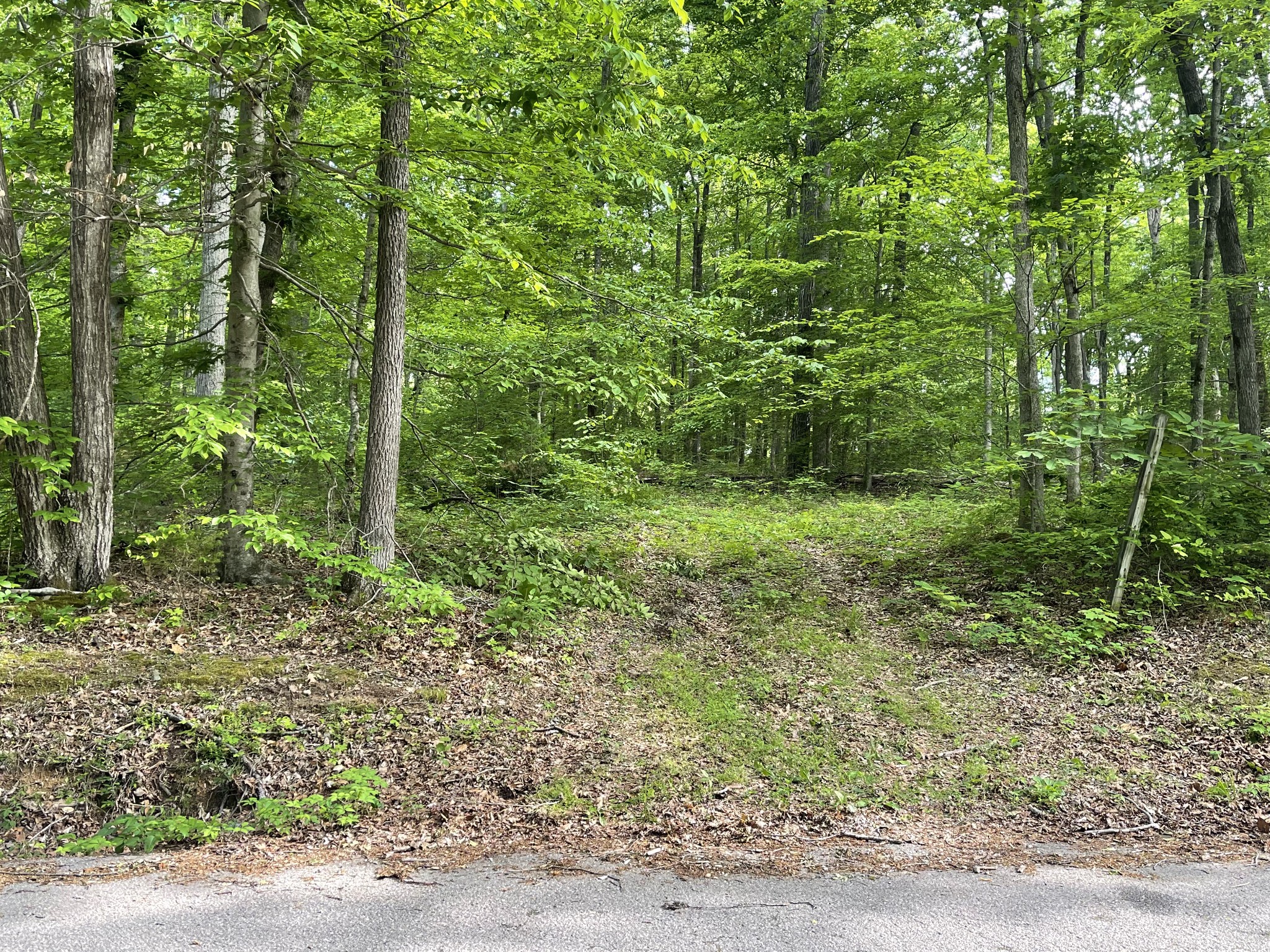 1 Doug Thompson Rd Lot 1, Franklin, TN 37064