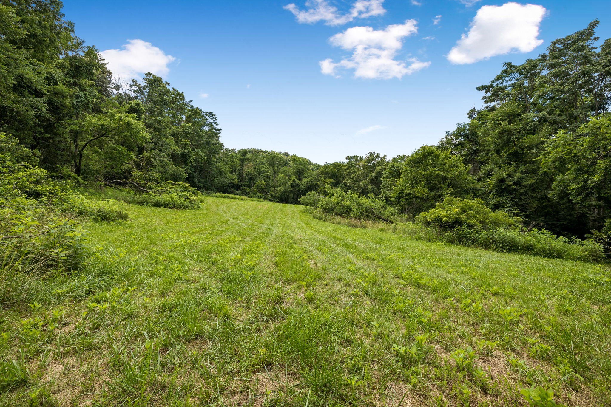 2268 N Berrys Chapel Rd, Franklin, TN 37069