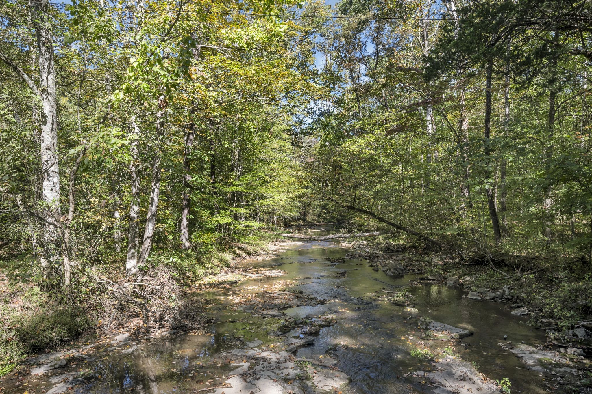 1194 Spann Rd, Charlotte, TN 37036
