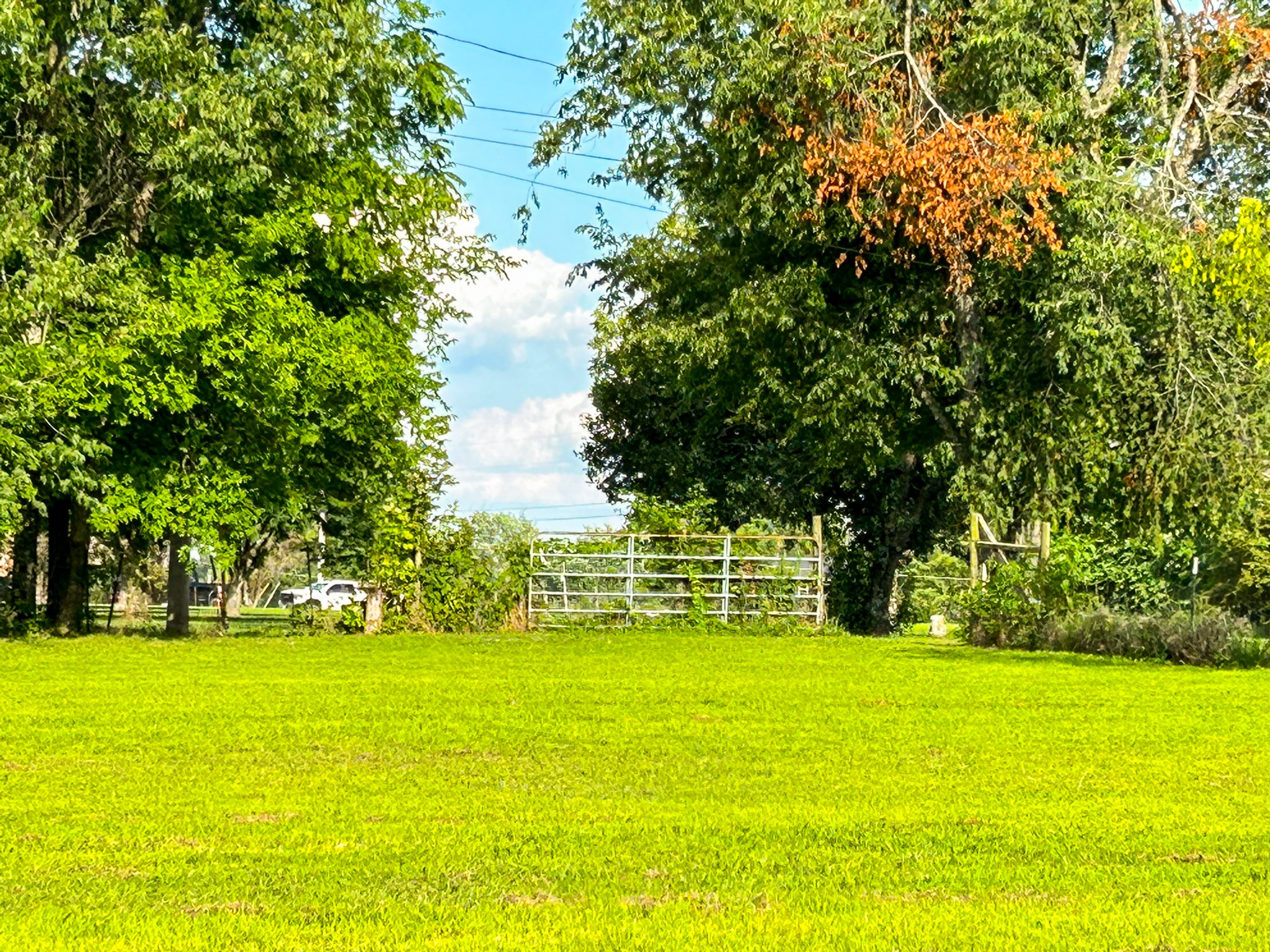 340 Blue Door Rd, Portland, TN 37148