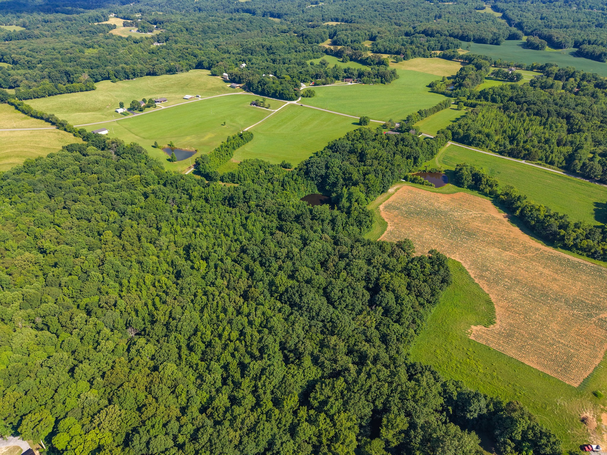 3 Poplar Ridge Rd, Chapmansboro, TN 37035