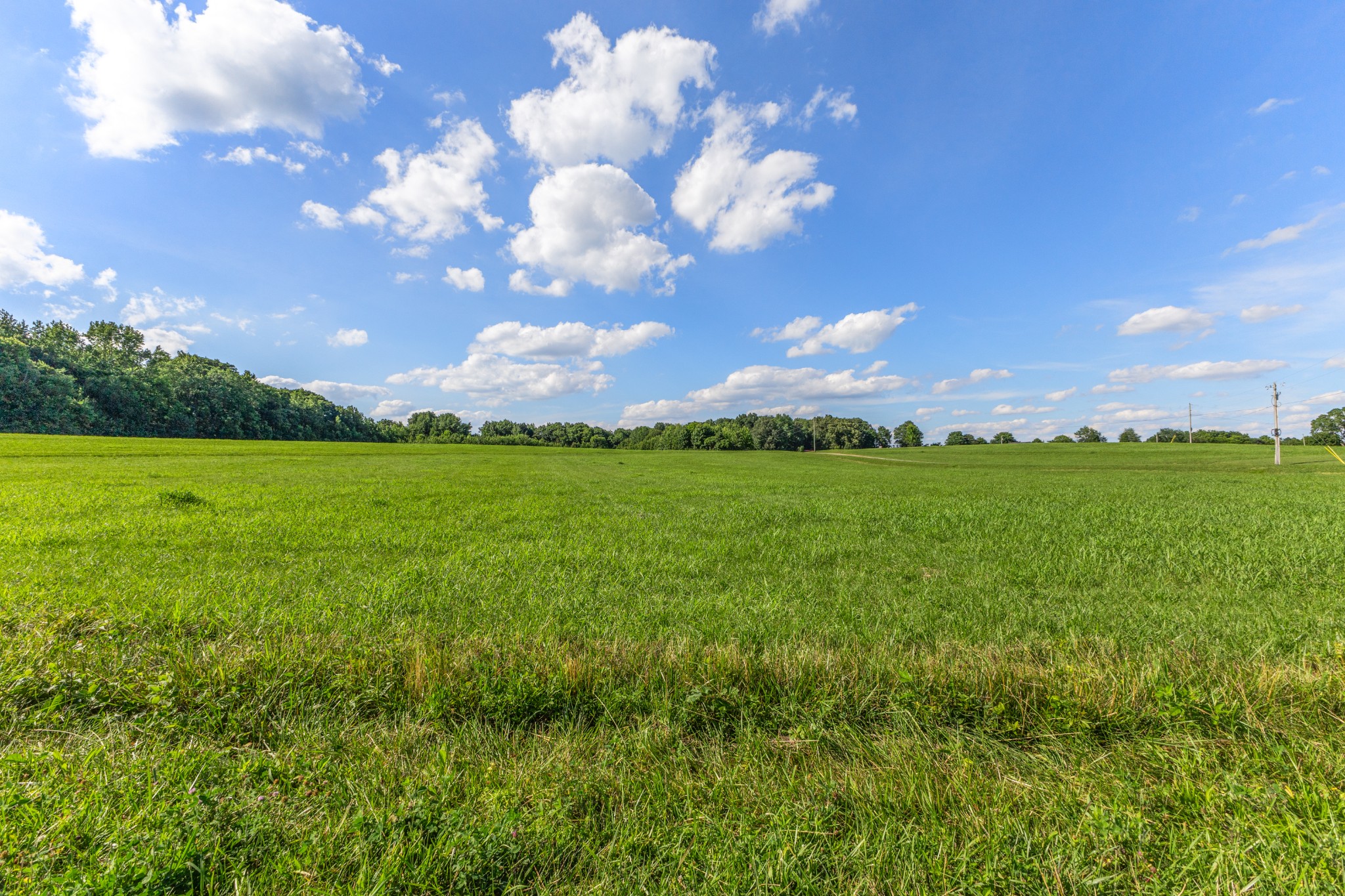 5 Poplar Ridge Rd, Chapmansboro, TN 37035