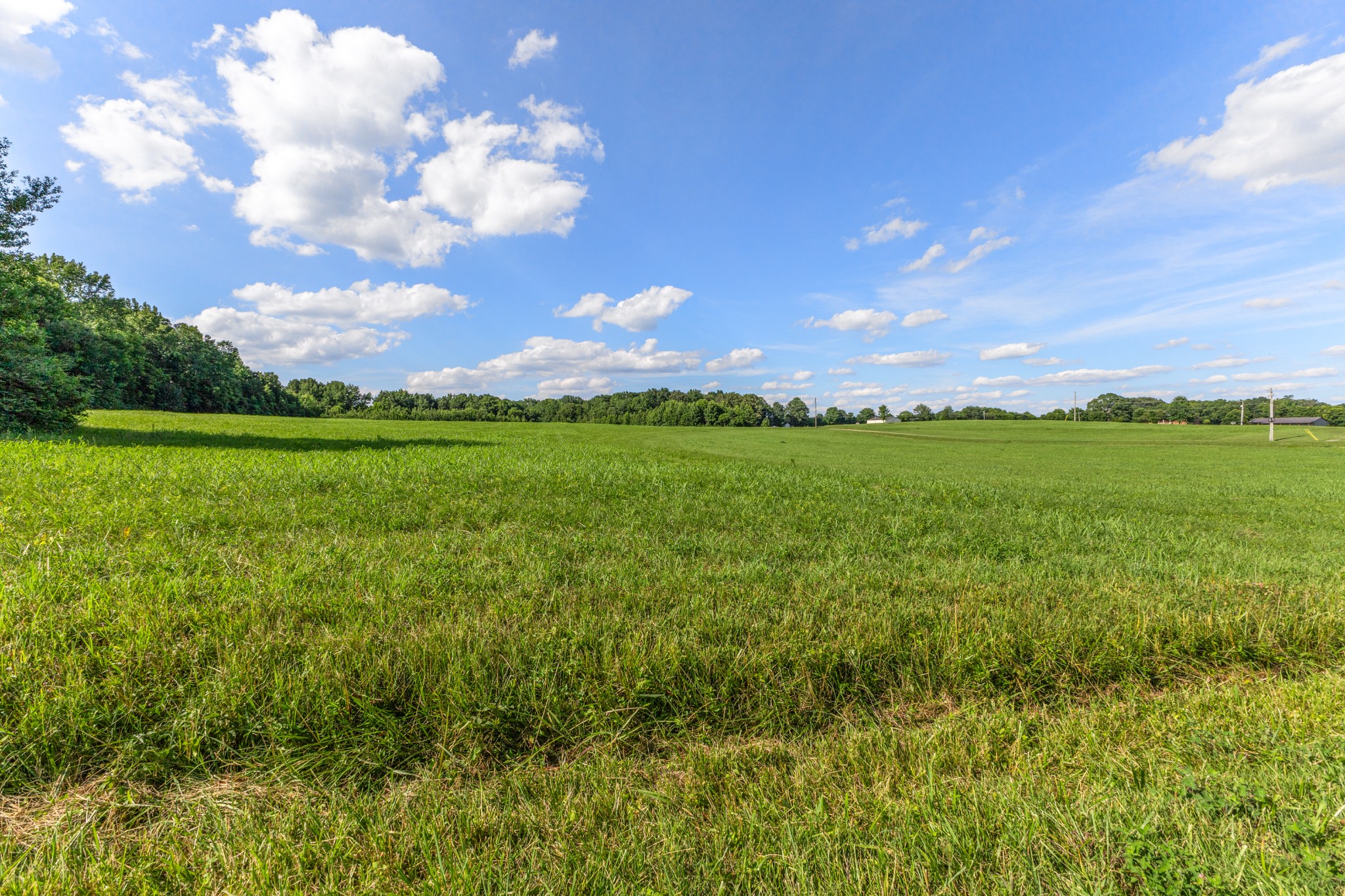 5 Poplar Ridge Rd, Chapmansboro, TN 37035