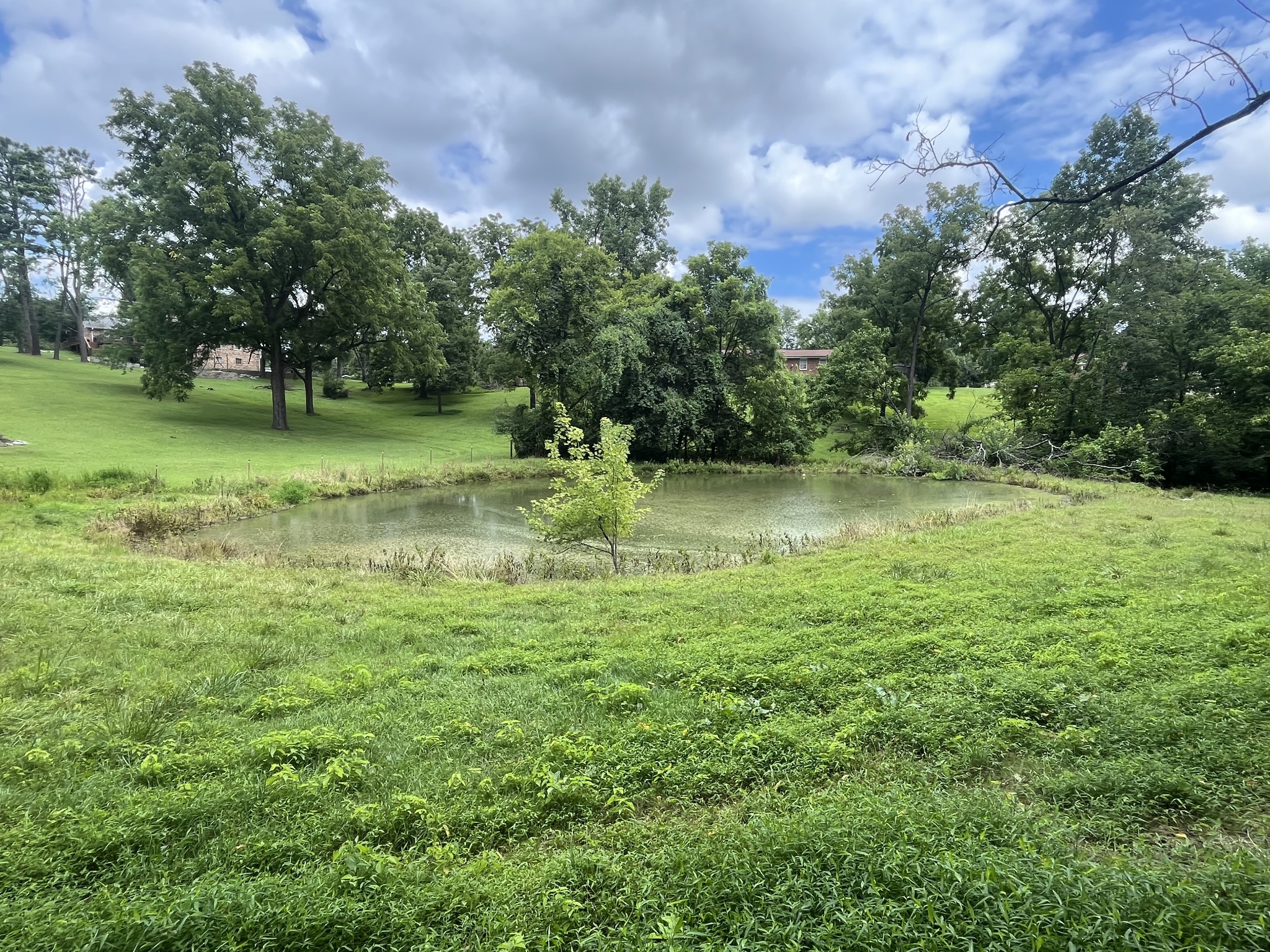 305 Tanglewood Dr, Mount Juliet, TN 37122