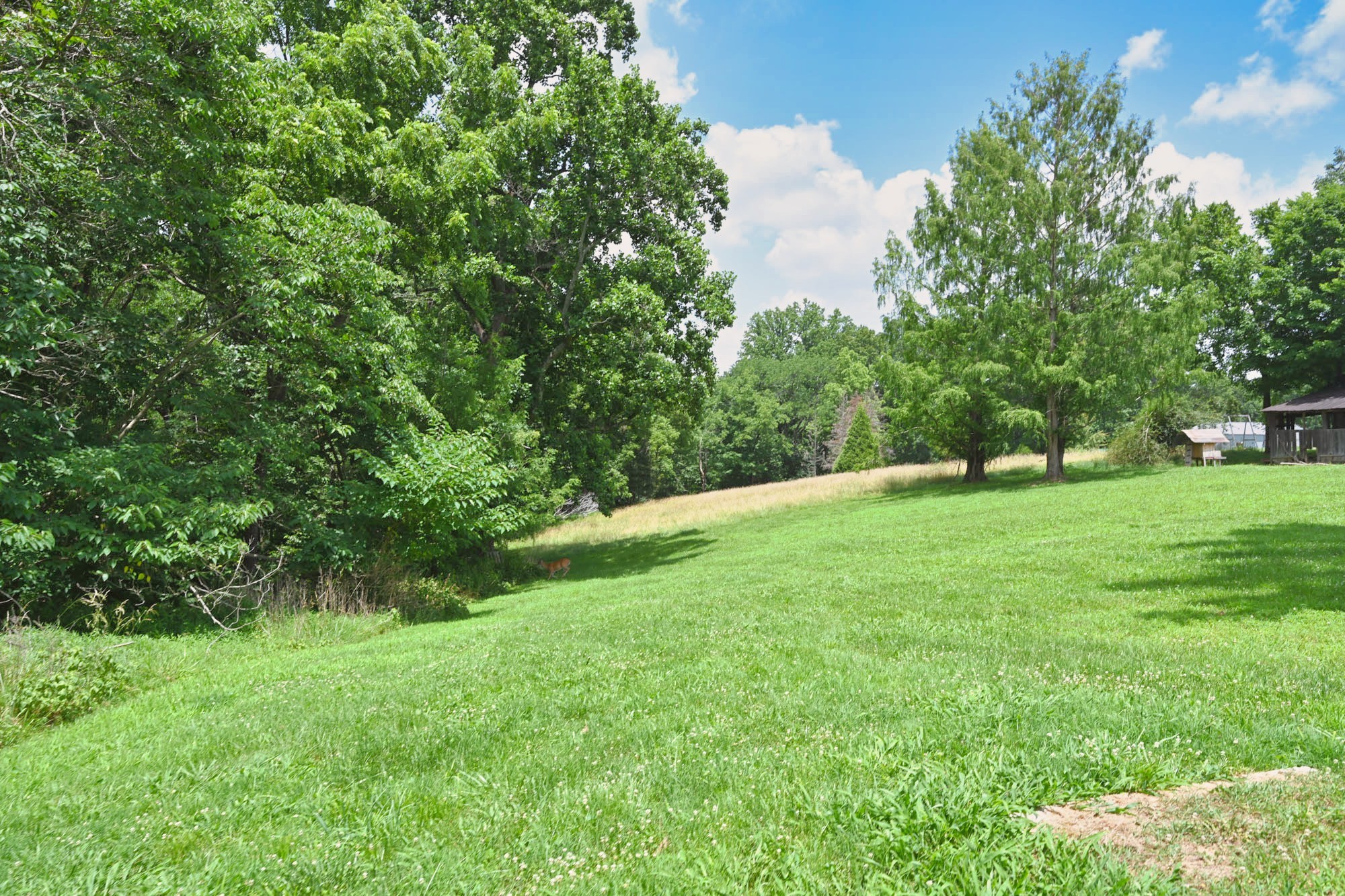 5658 Dividing Ridge Rd, Goodlettsville, TN 37072