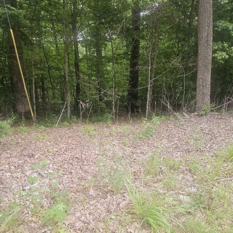 0 Scenic Dr Lot 44, Dickson, TN 37055