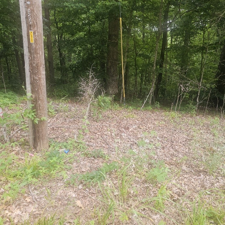 0 Scenic Dr Lot 44, Dickson, TN 37055