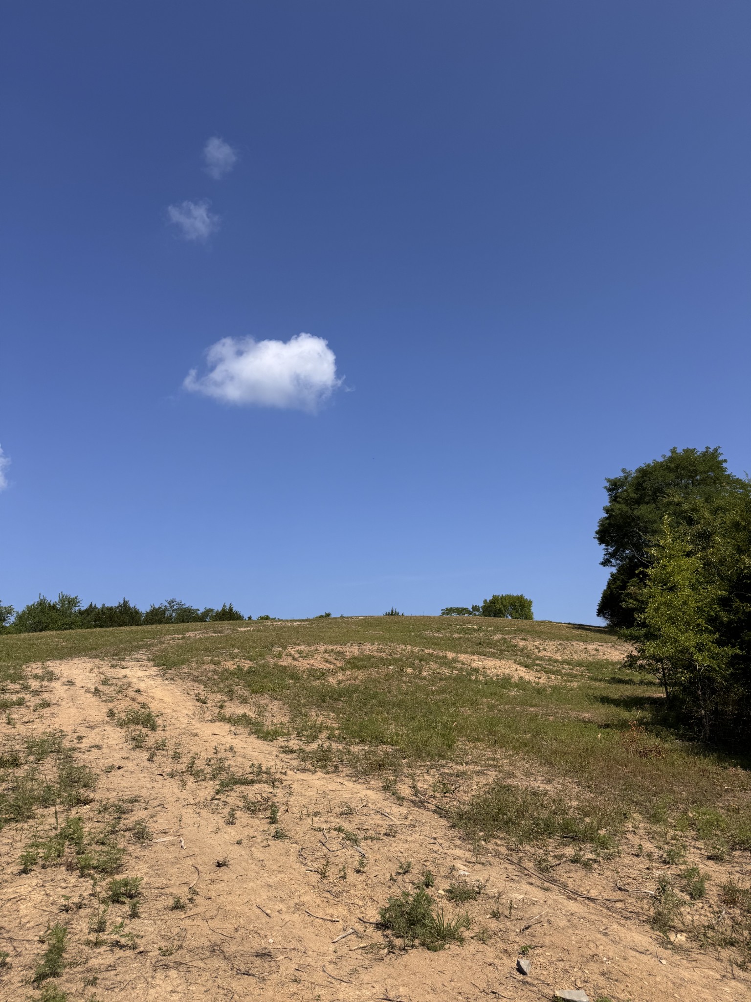 0 Pete Alsup Rd, Lascassas, TN 37085