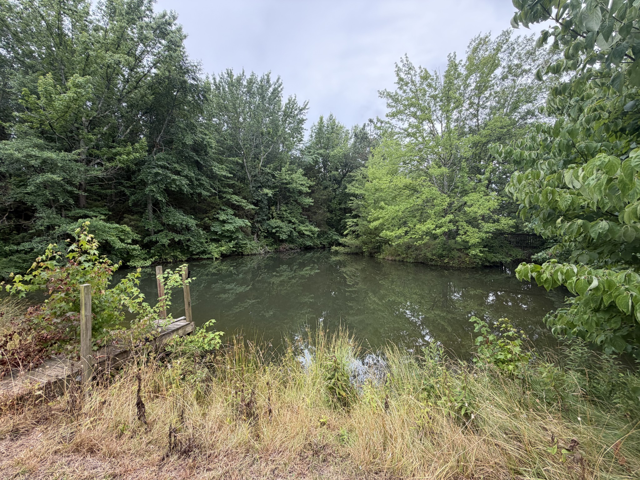512 W Market St, Portland, TN 37148