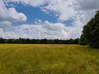 0 Vesta Rd Lot 22, Lebanon, TN 37090