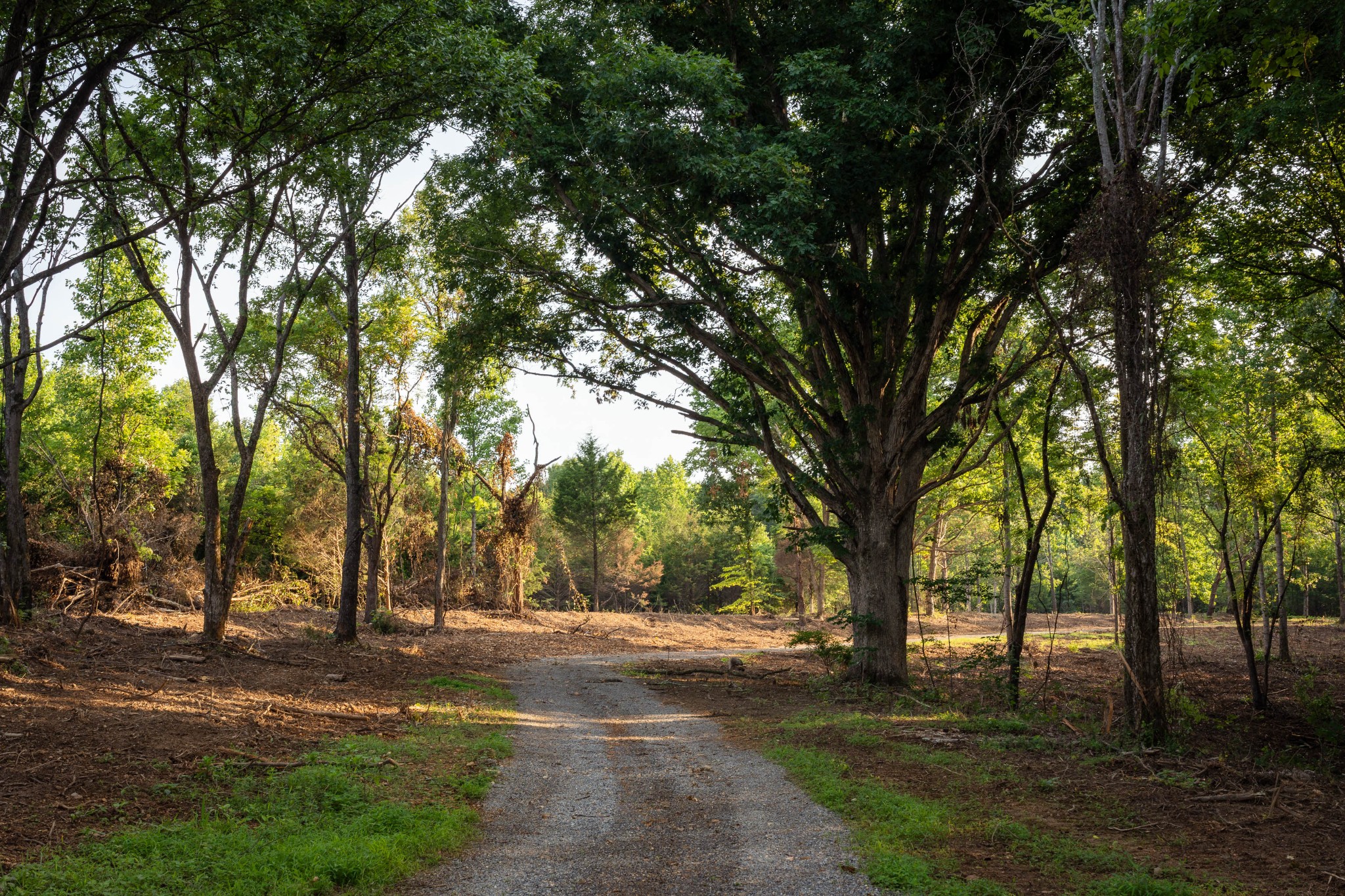 0 Parker Branch Rd, Franklin, TN 37064