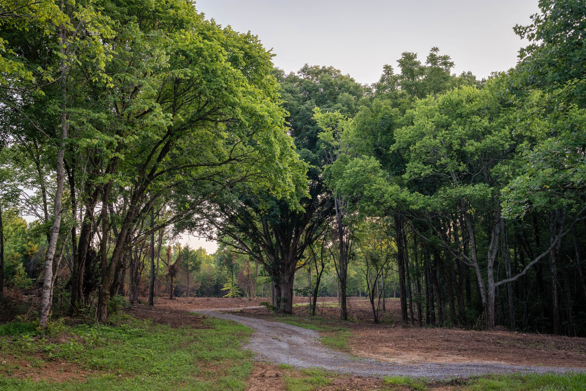 0 Parker Branch Rd, Franklin, TN 37064