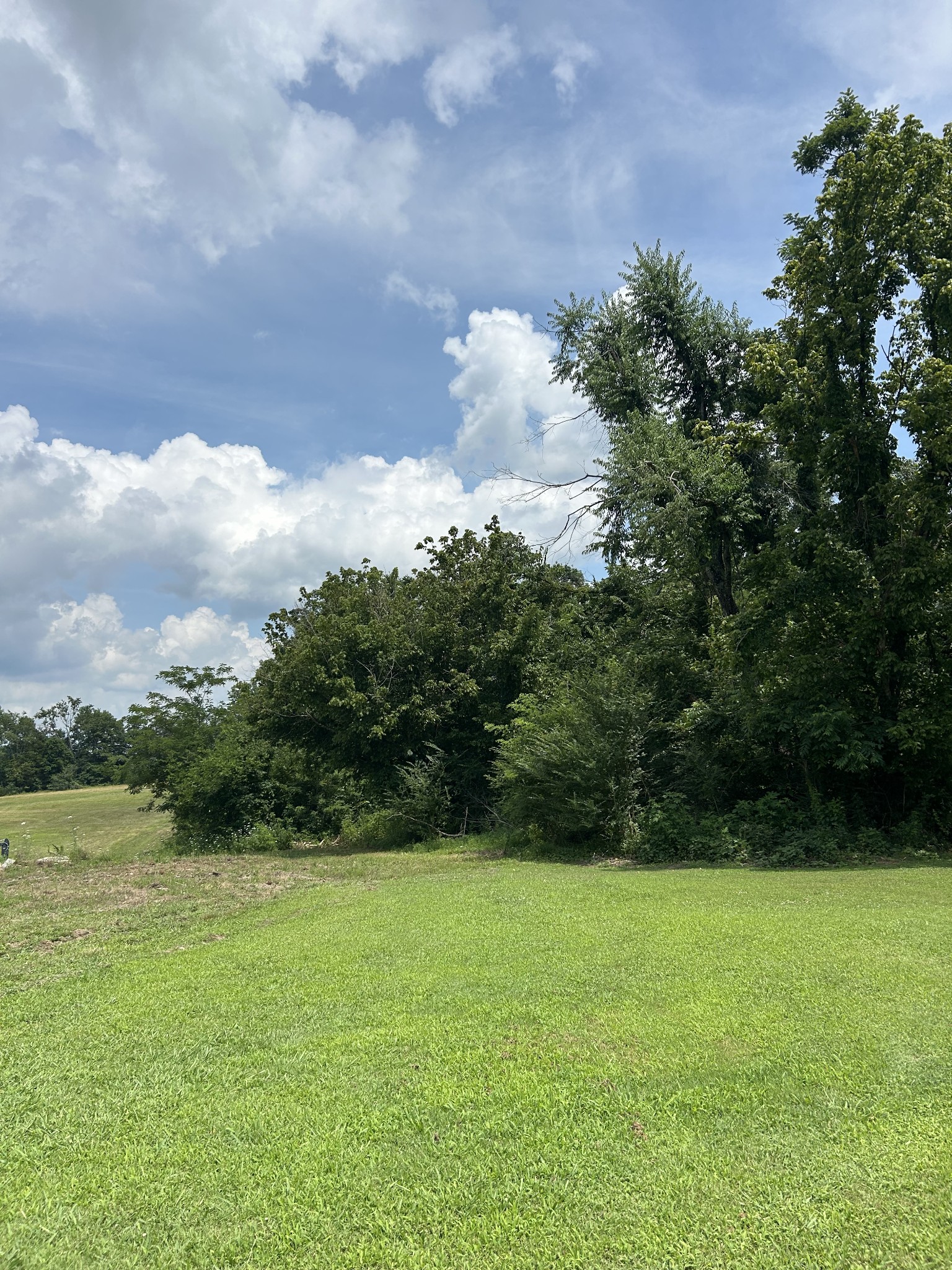 0 Pleasant Grove Rd Lot 4, Westmoreland, TN 37186