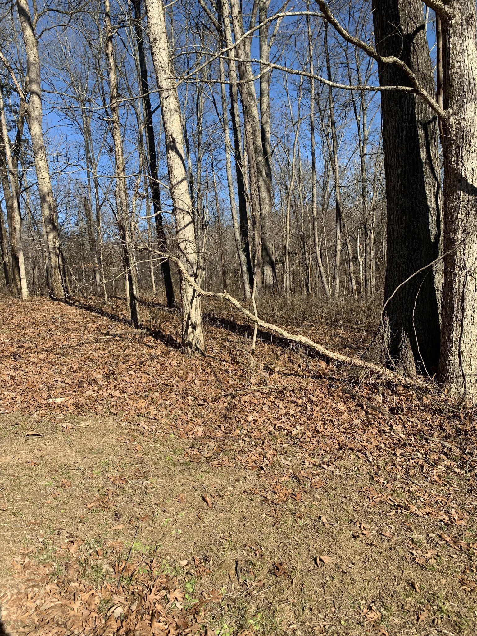 0 Pond Dr, Gallatin, TN 37066