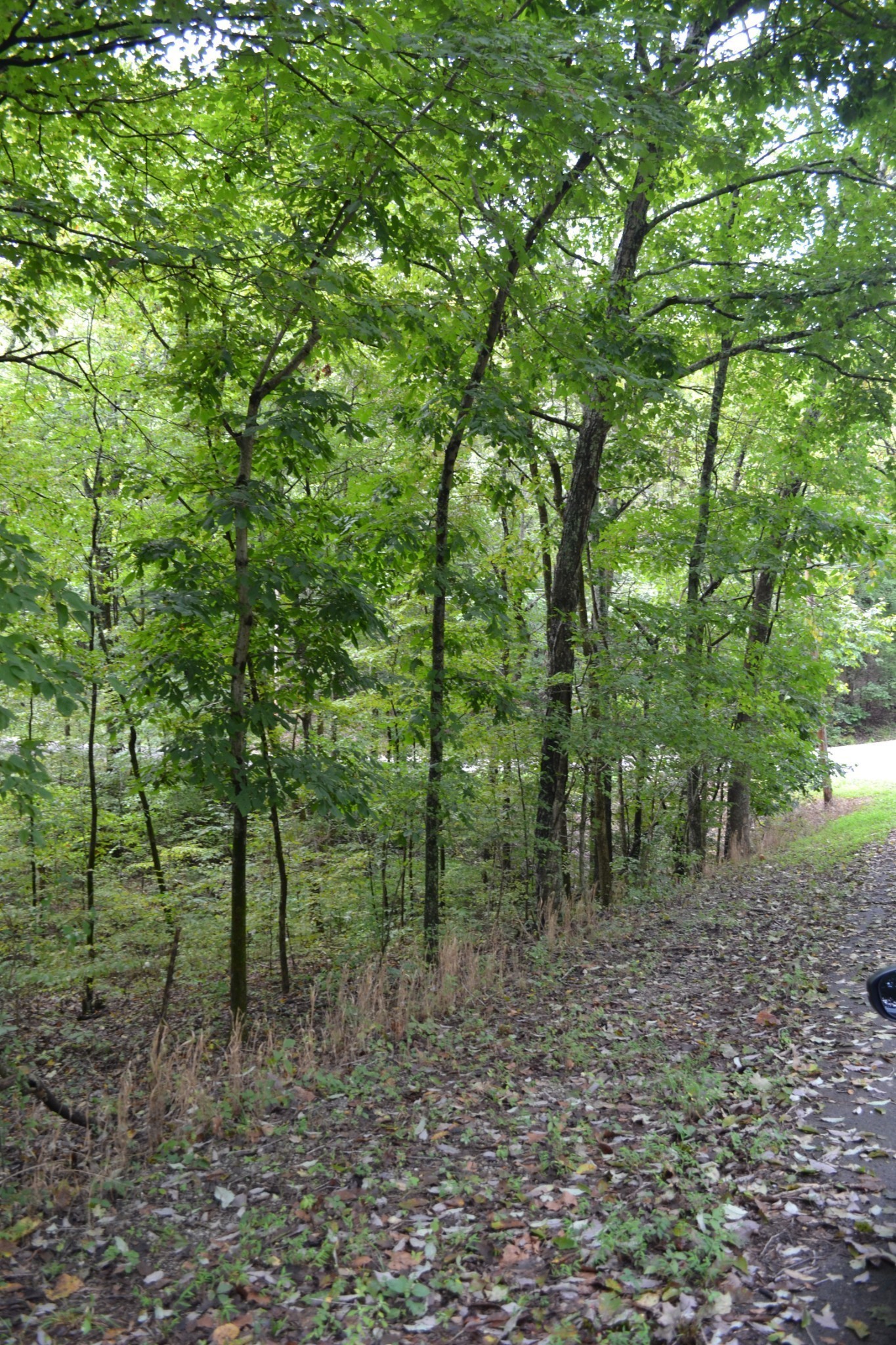 0 Pond Dr, Gallatin, TN 37066