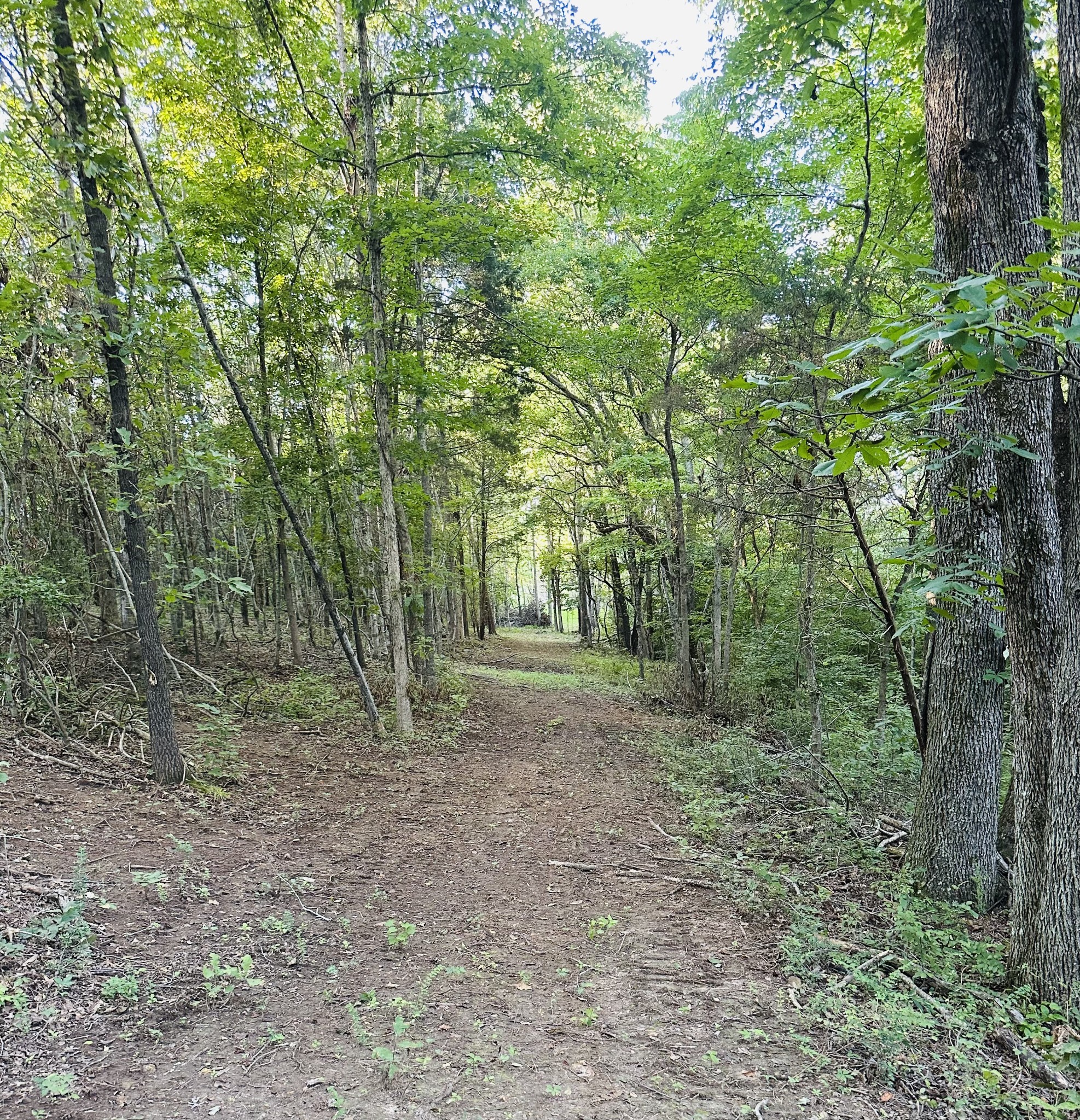 1261 Highway 48 S, Dickson, TN 37055