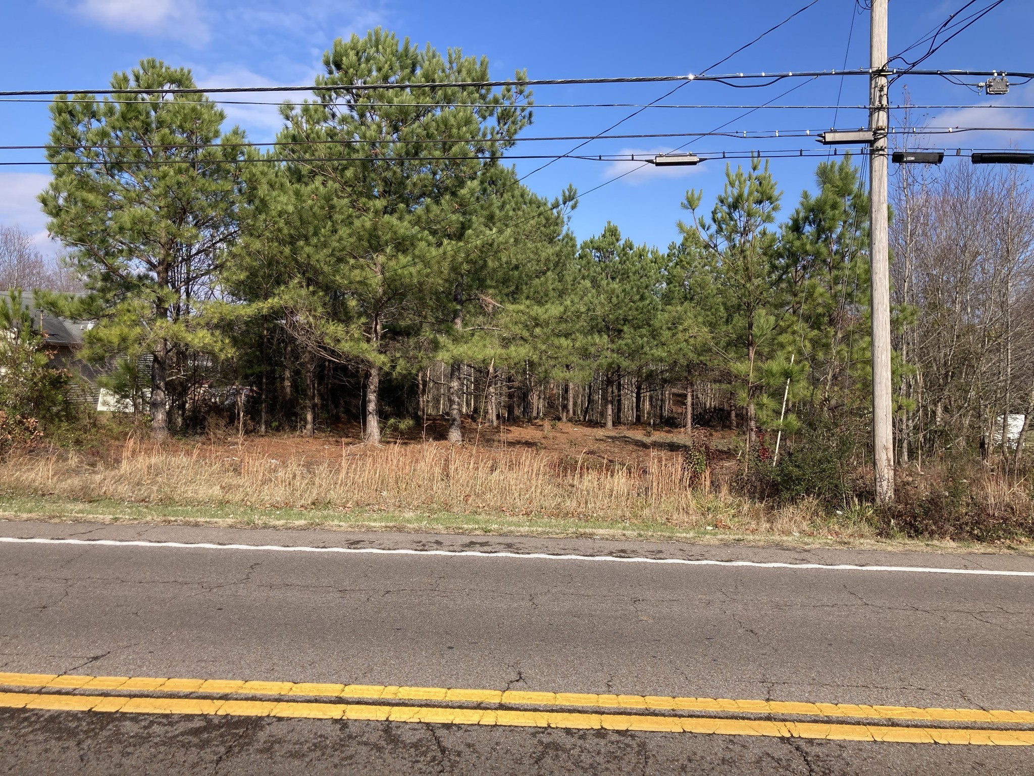 0 Highway 20, Summertown, TN 38483