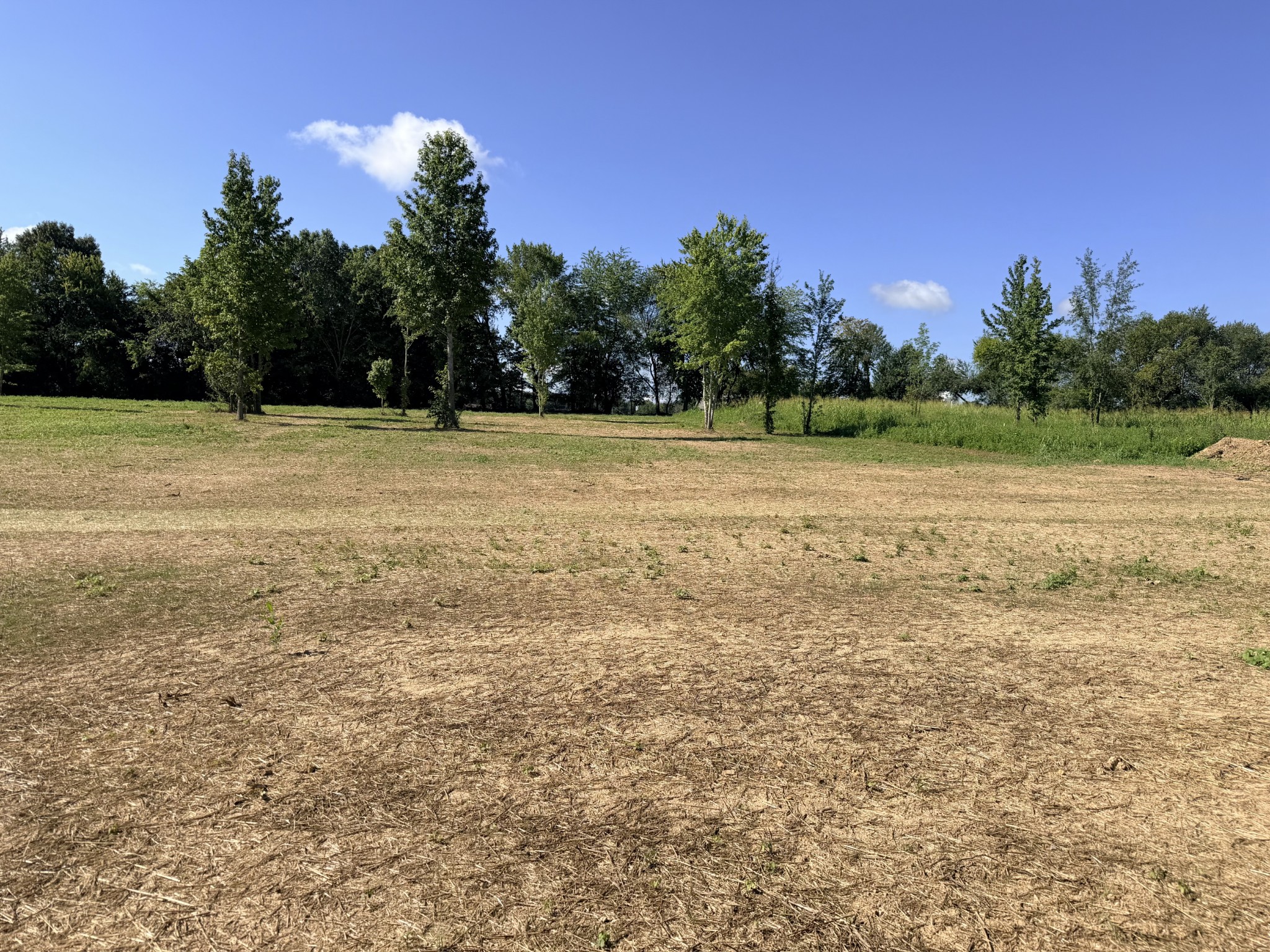 1301 Vickie Ln, Portland, TN 37148