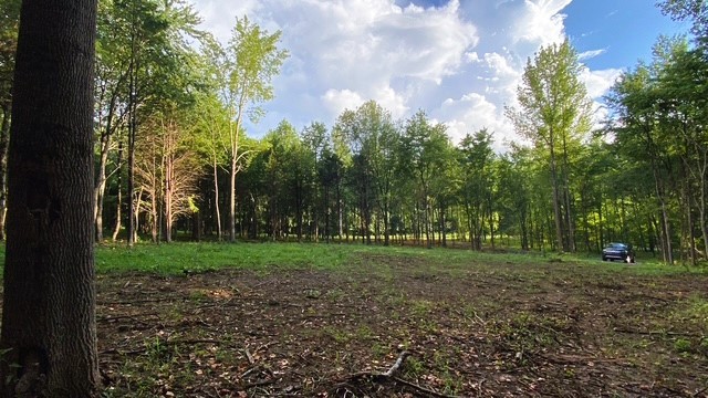 7880 Bill Moss Rd, White House, TN 37188