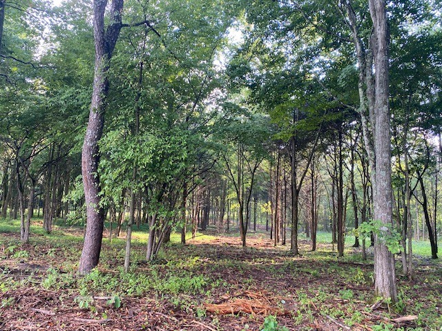 7884 Bill Moss Rd, White House, TN 37188