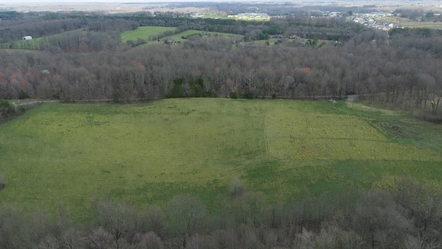 7884 Bill Moss Rd, White House, TN 37188