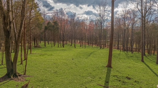 7876 Bill Moss Rd, White House, TN 37188