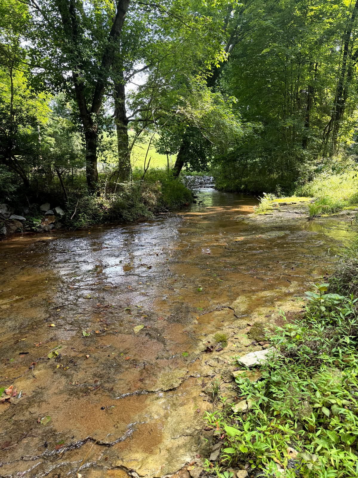 0 Wiley Branch Rd, Dickson, TN 37055