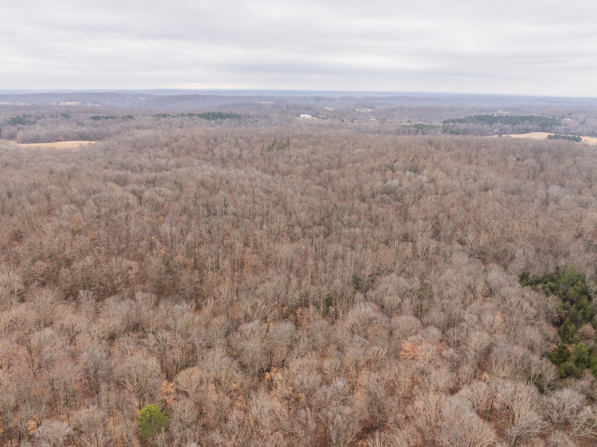 0 Wiley Branch Rd, Dickson, TN 37055