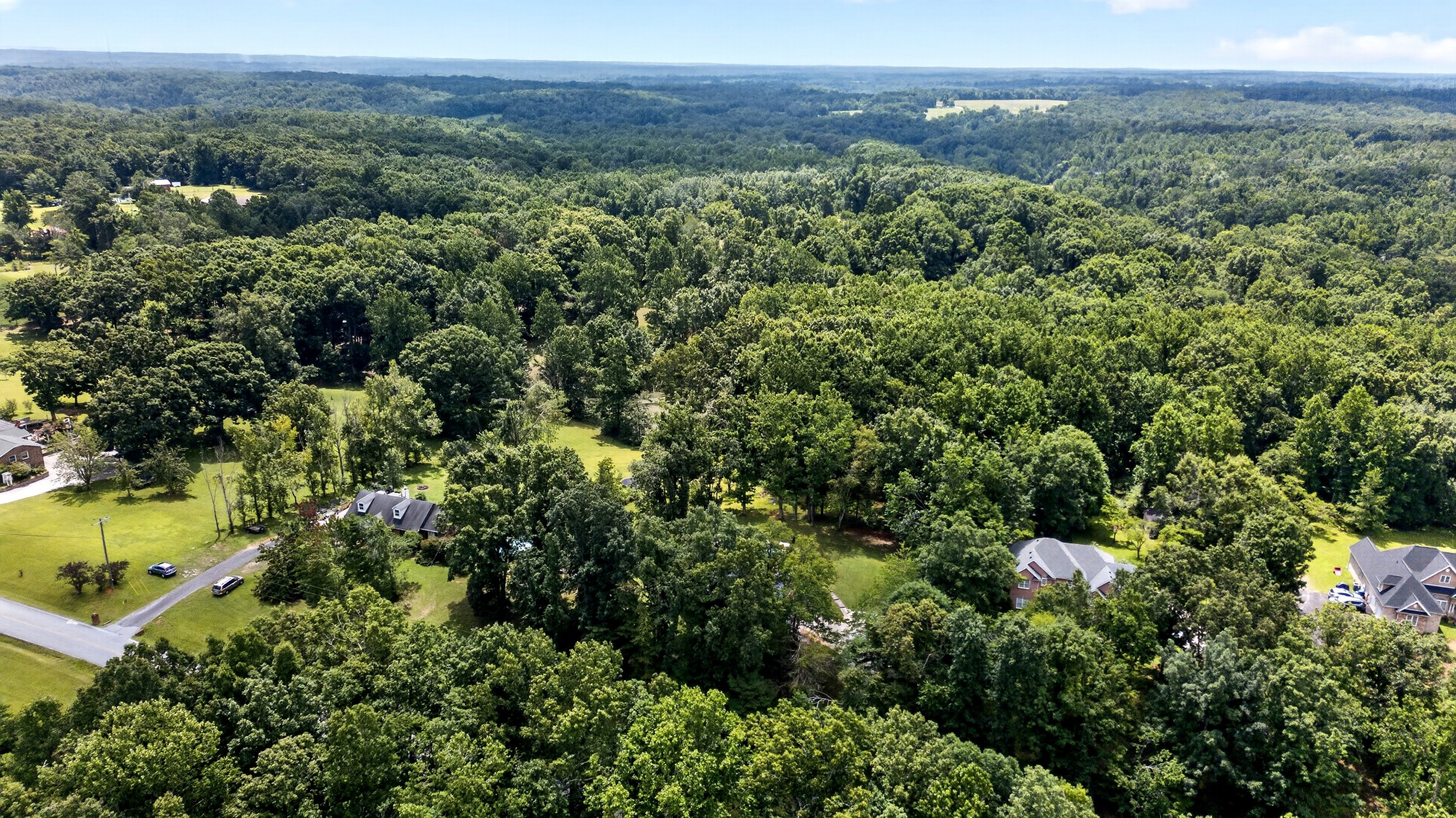 7311 Henry Dr, Fairview, TN 37062