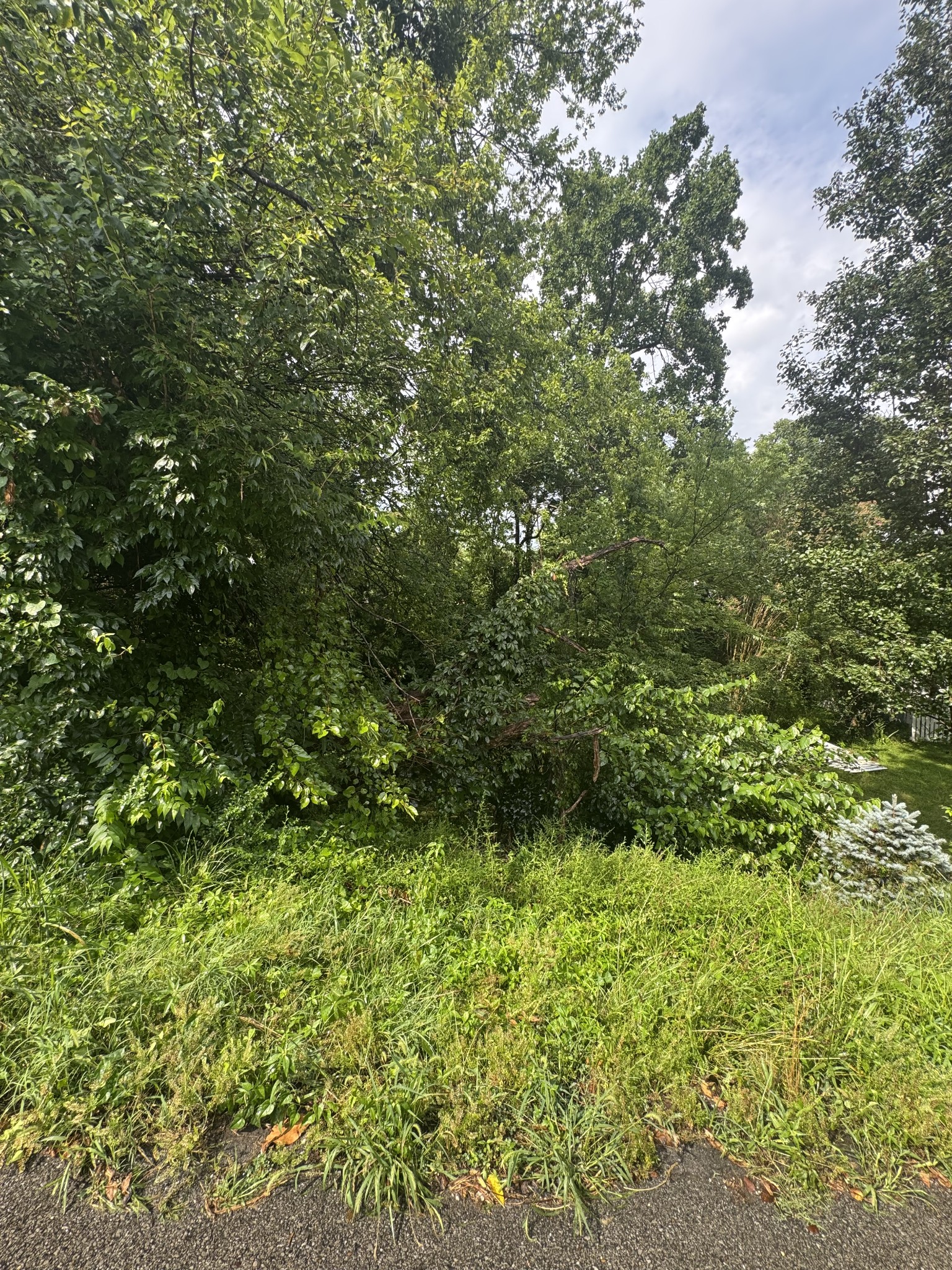 1295 Sunnymeade Dr, Nashville, TN 37216
