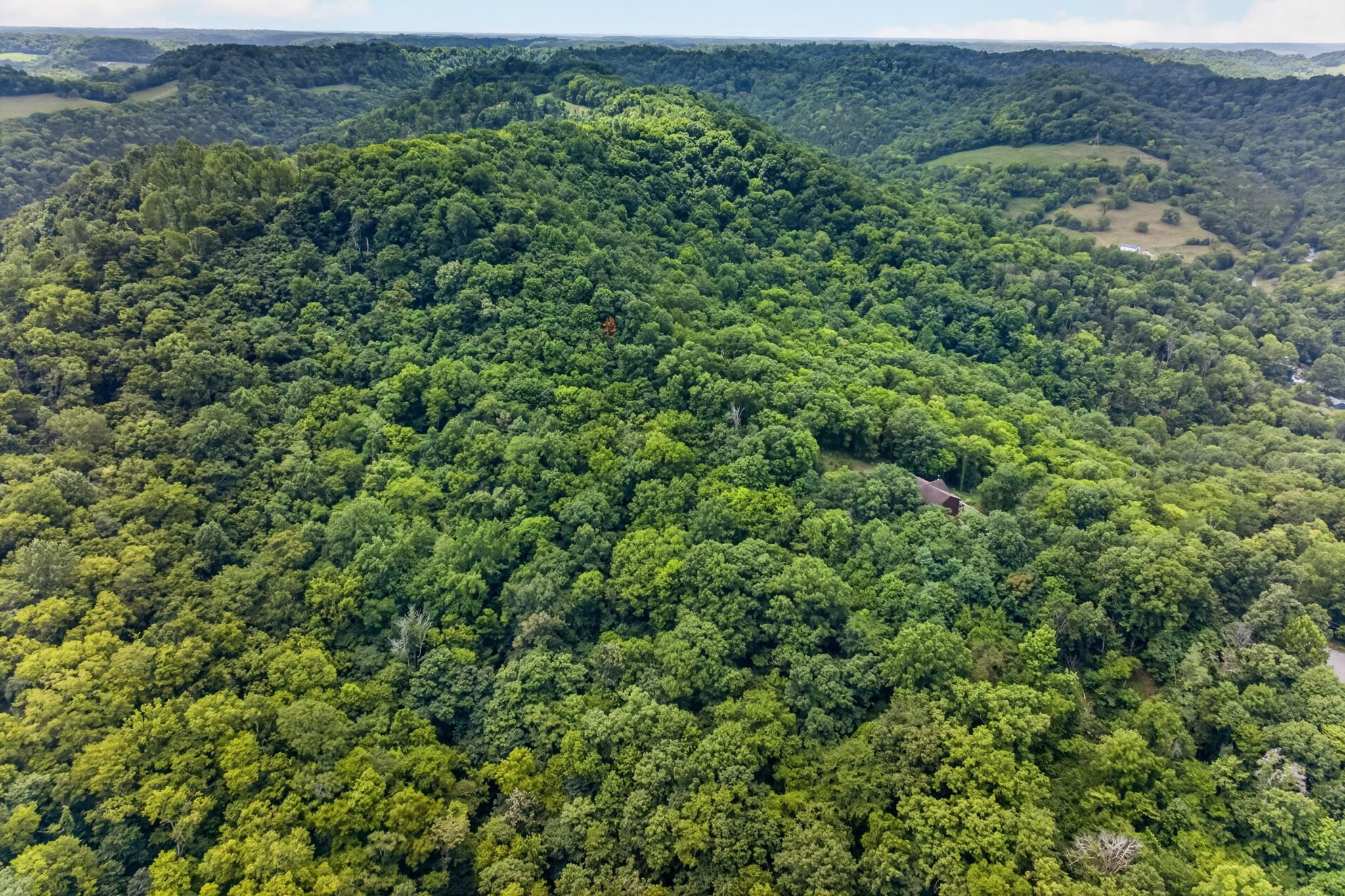 20 Magee Ln, Elmwood, TN 38560