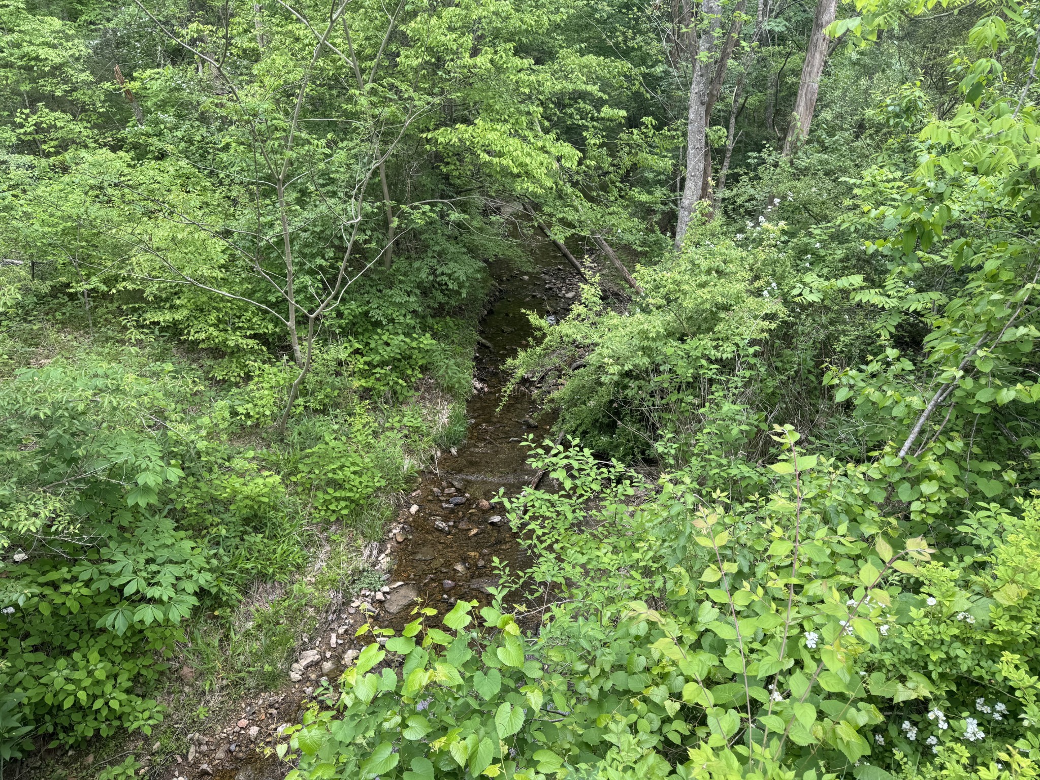 0 Old Highway 52, Westmoreland, TN 37186