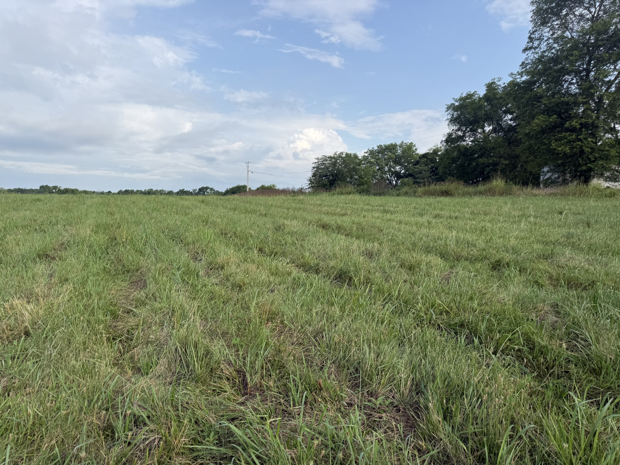 0 Chapel Hill Pike Lot 10, Eagleville, TN 37060