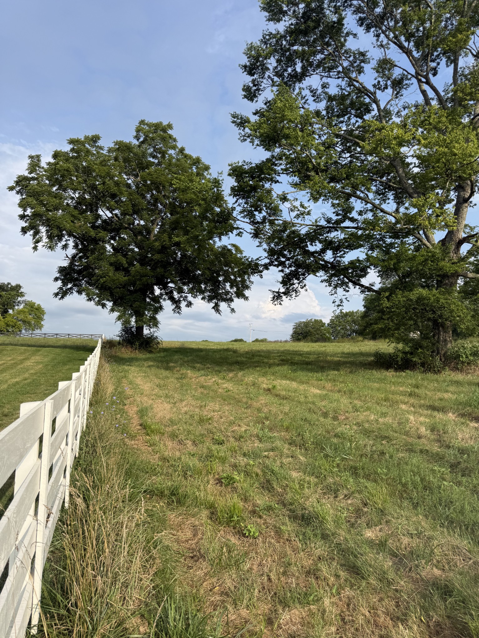 0 Chapel Hill Pike Lot 10, Eagleville, TN 37060