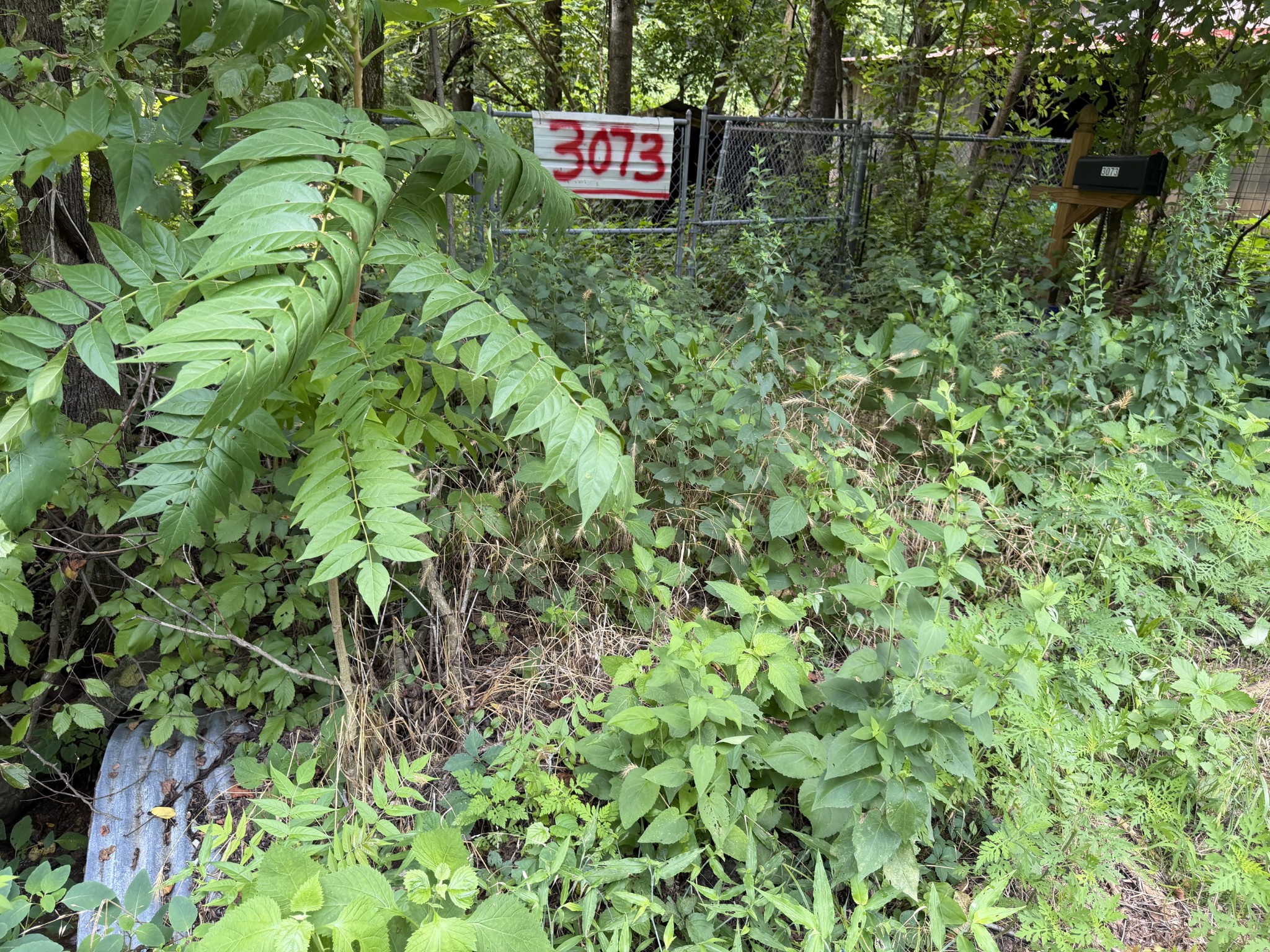 3073 Fly Rd, Santa Fe, TN 38482