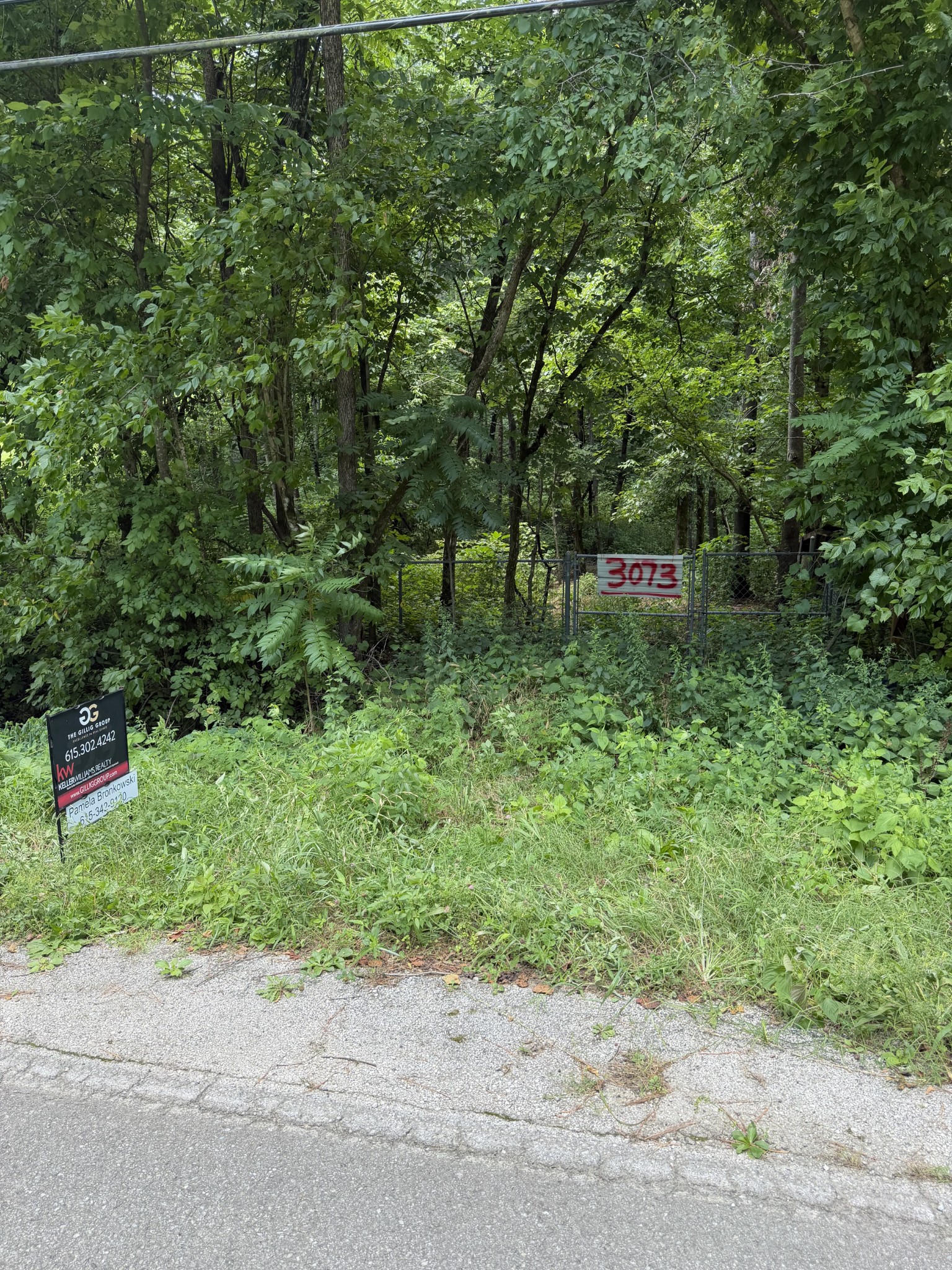 3073 Fly Rd, Santa Fe, TN 38482