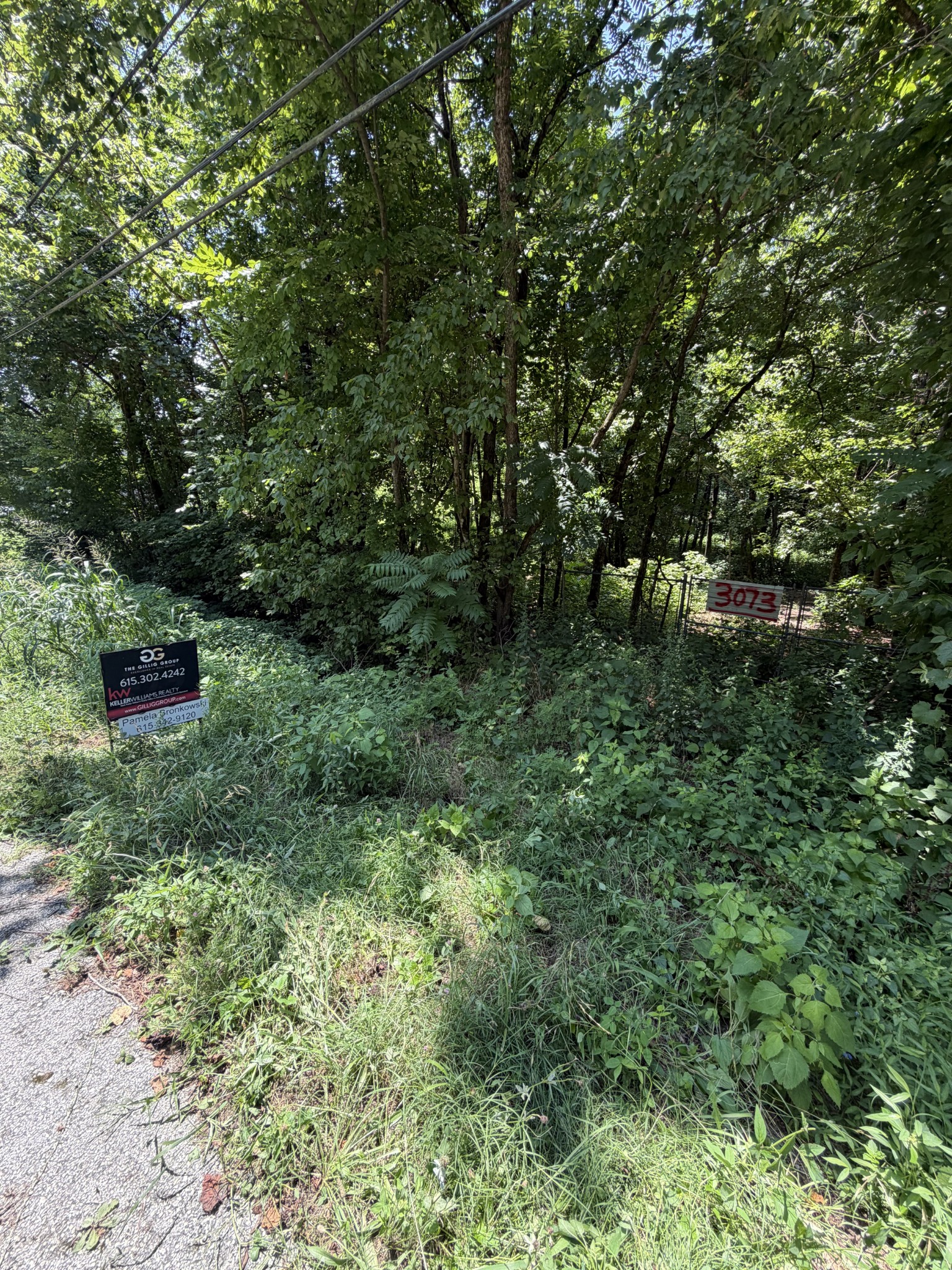 3073 Fly Rd, Santa Fe, TN 38482