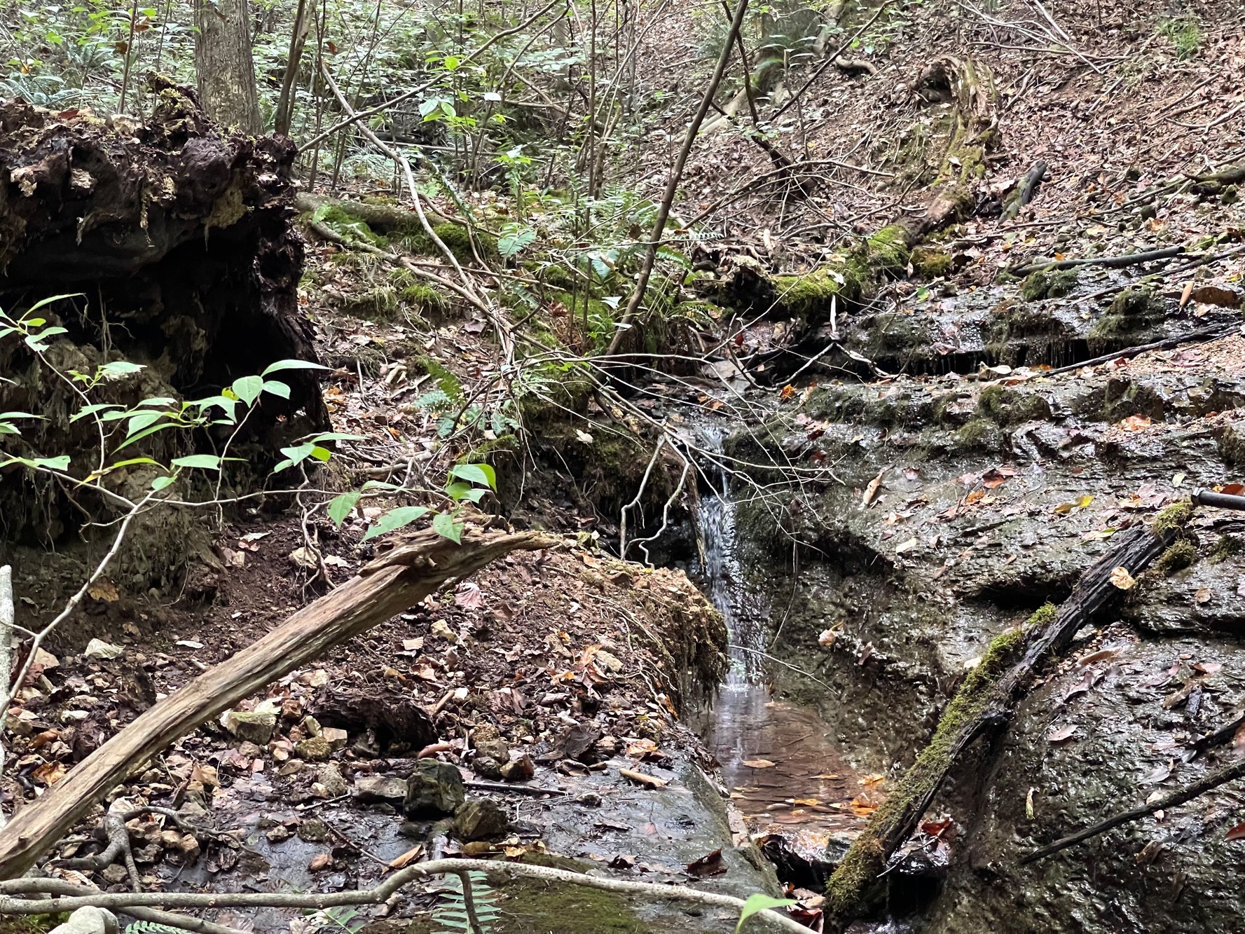 0 Mcclanahan Rd, Hampshire, TN 38461