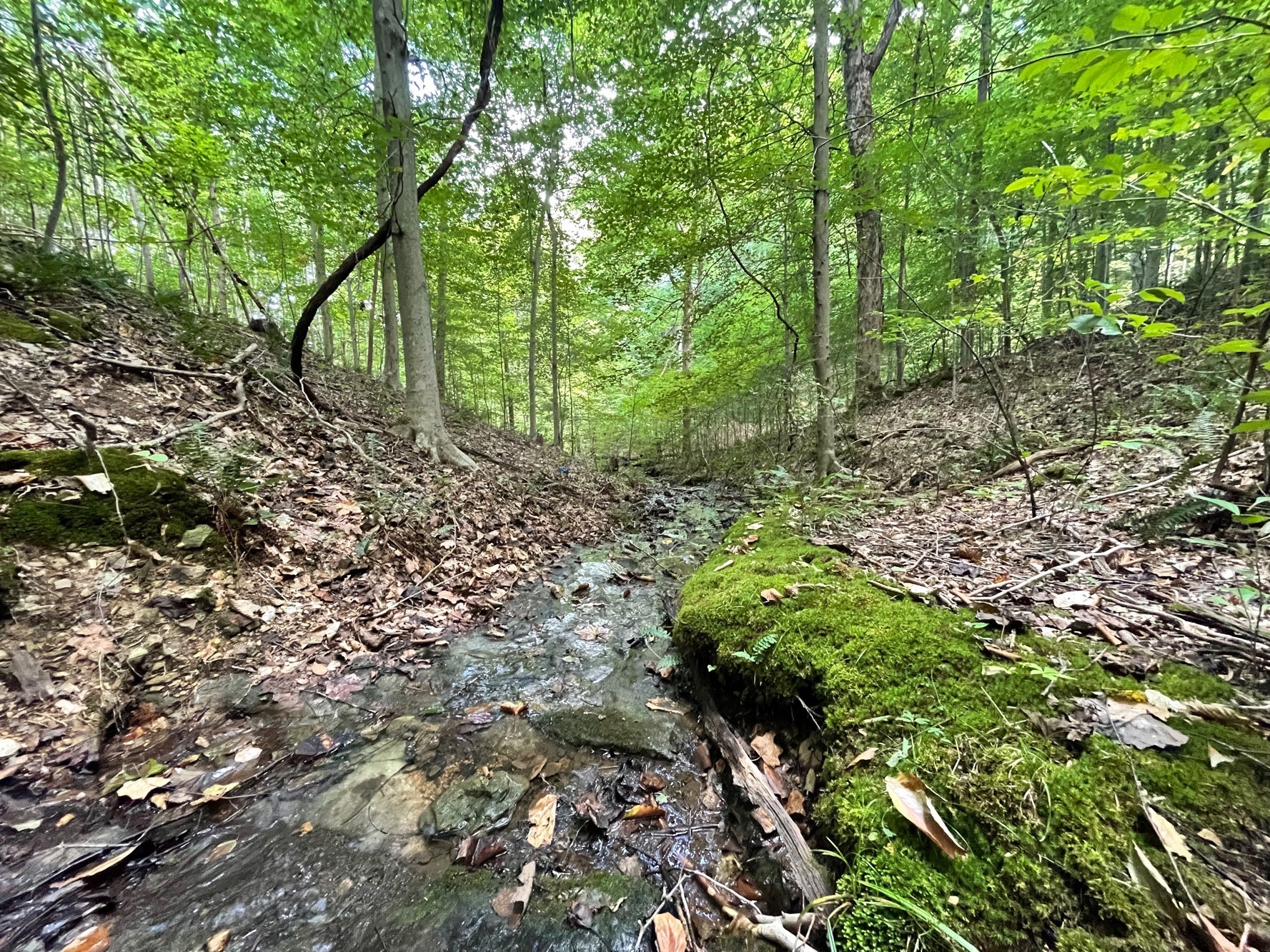 0 Mcclanahan Rd, Hampshire, TN 38461