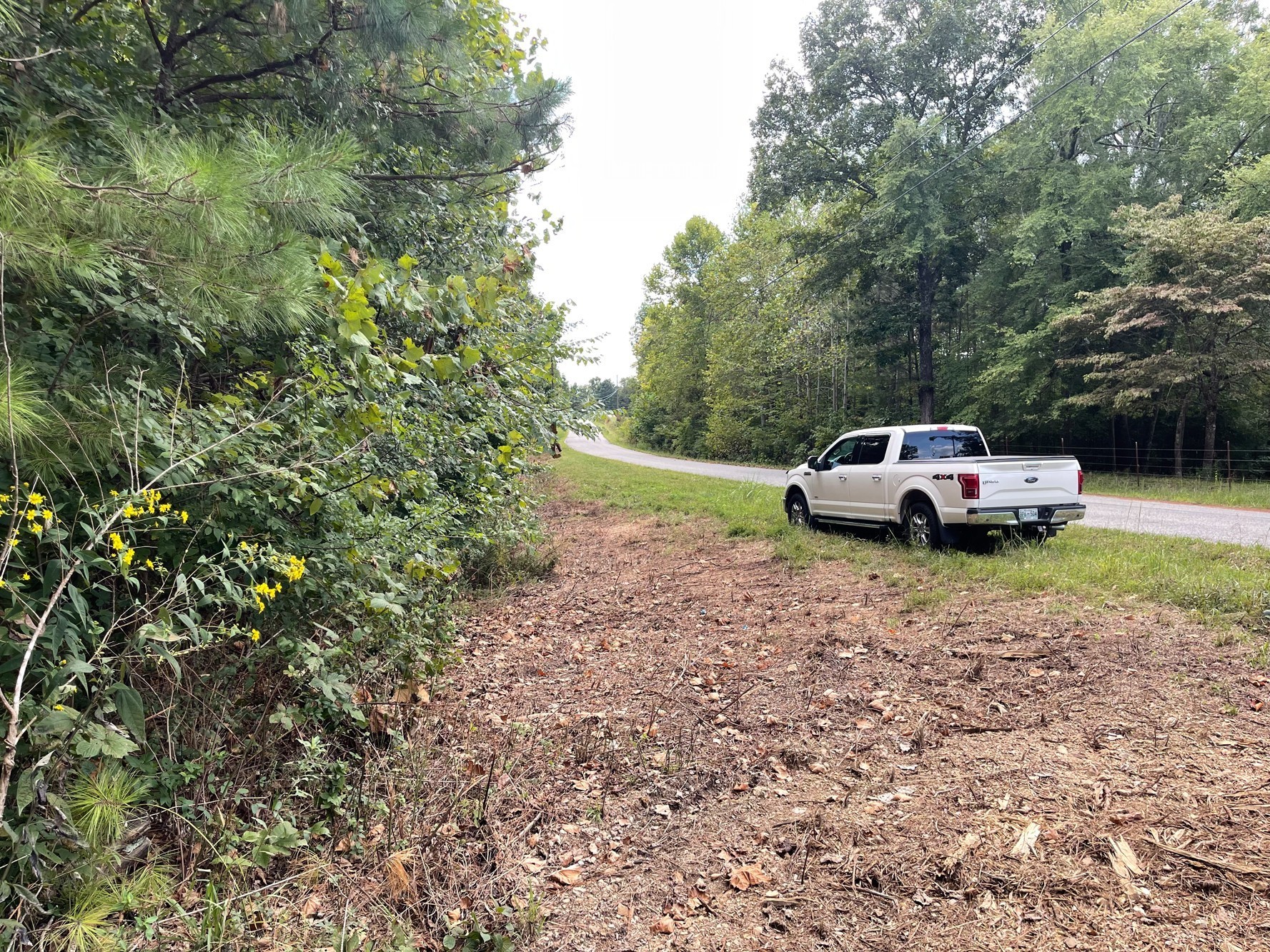 0 Mcclanahan Rd, Hampshire, TN 38461