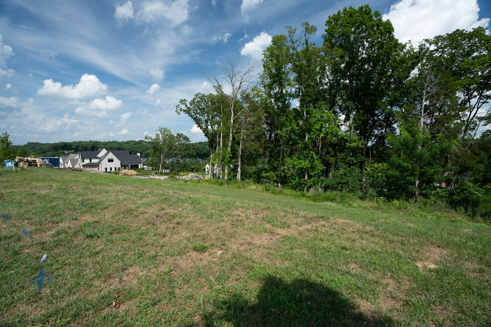 8757 Weller Ln, College Grove, TN 37046