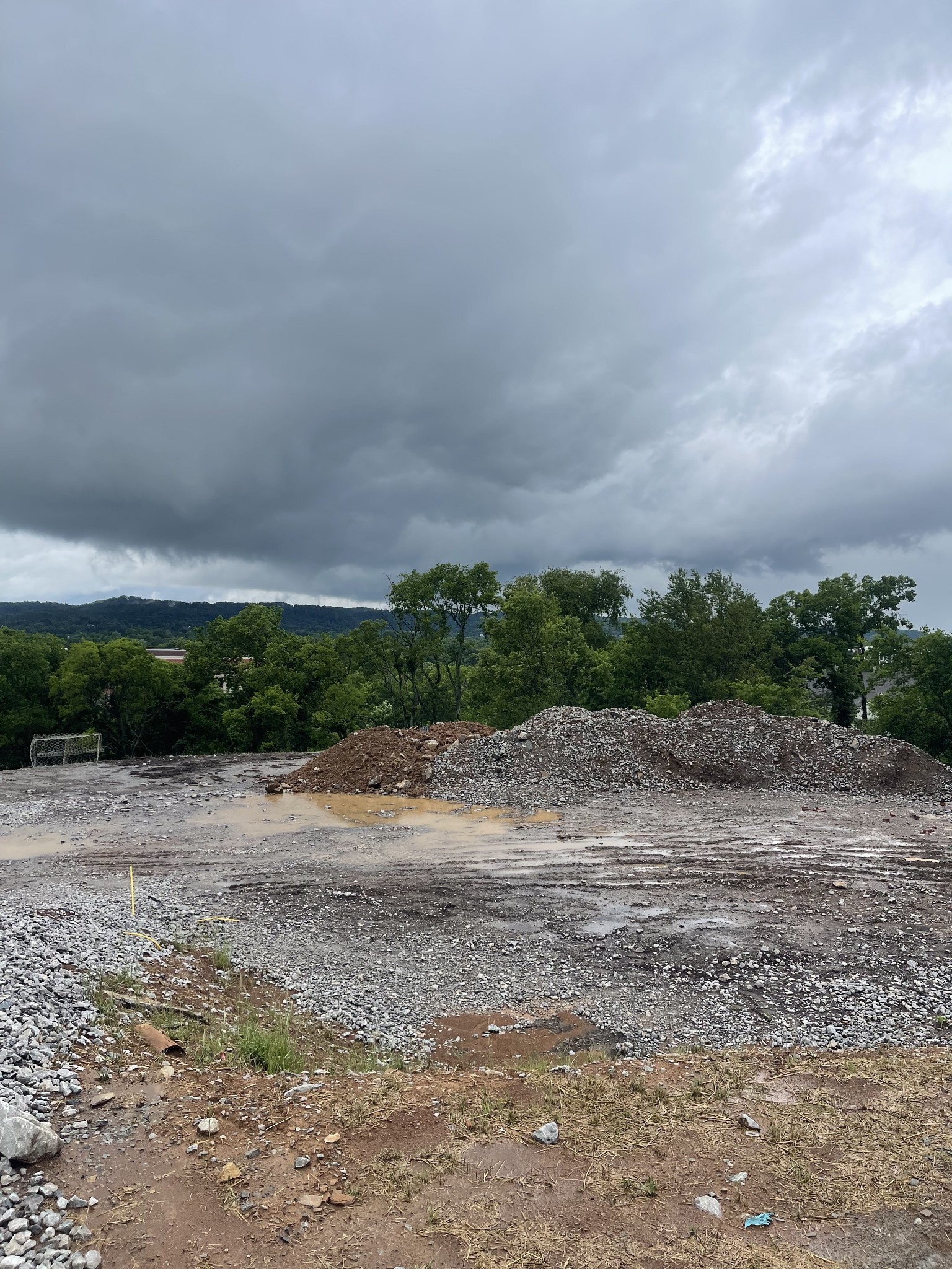 163 Berry Hunter Ln, Franklin, TN 37067