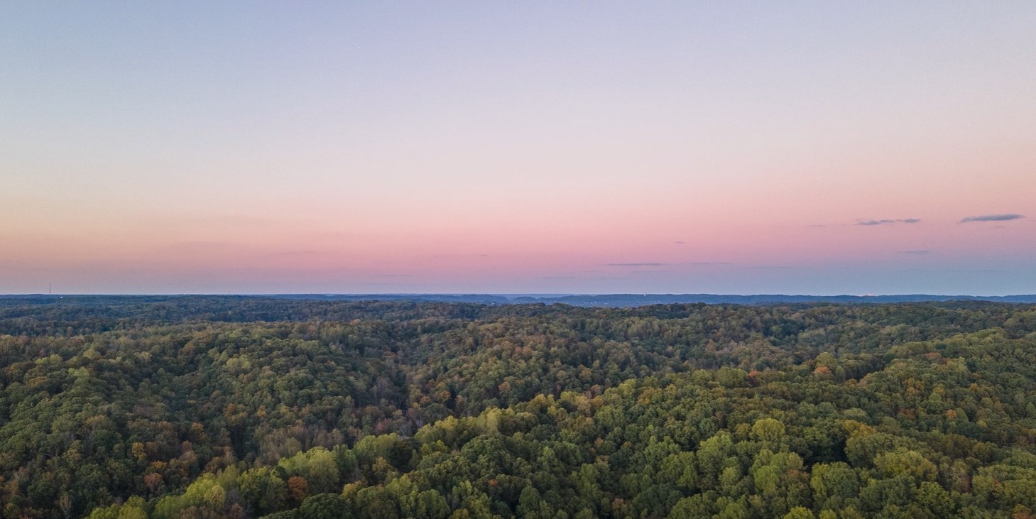 163 Berry Hunter Ln, Franklin, TN 37067
