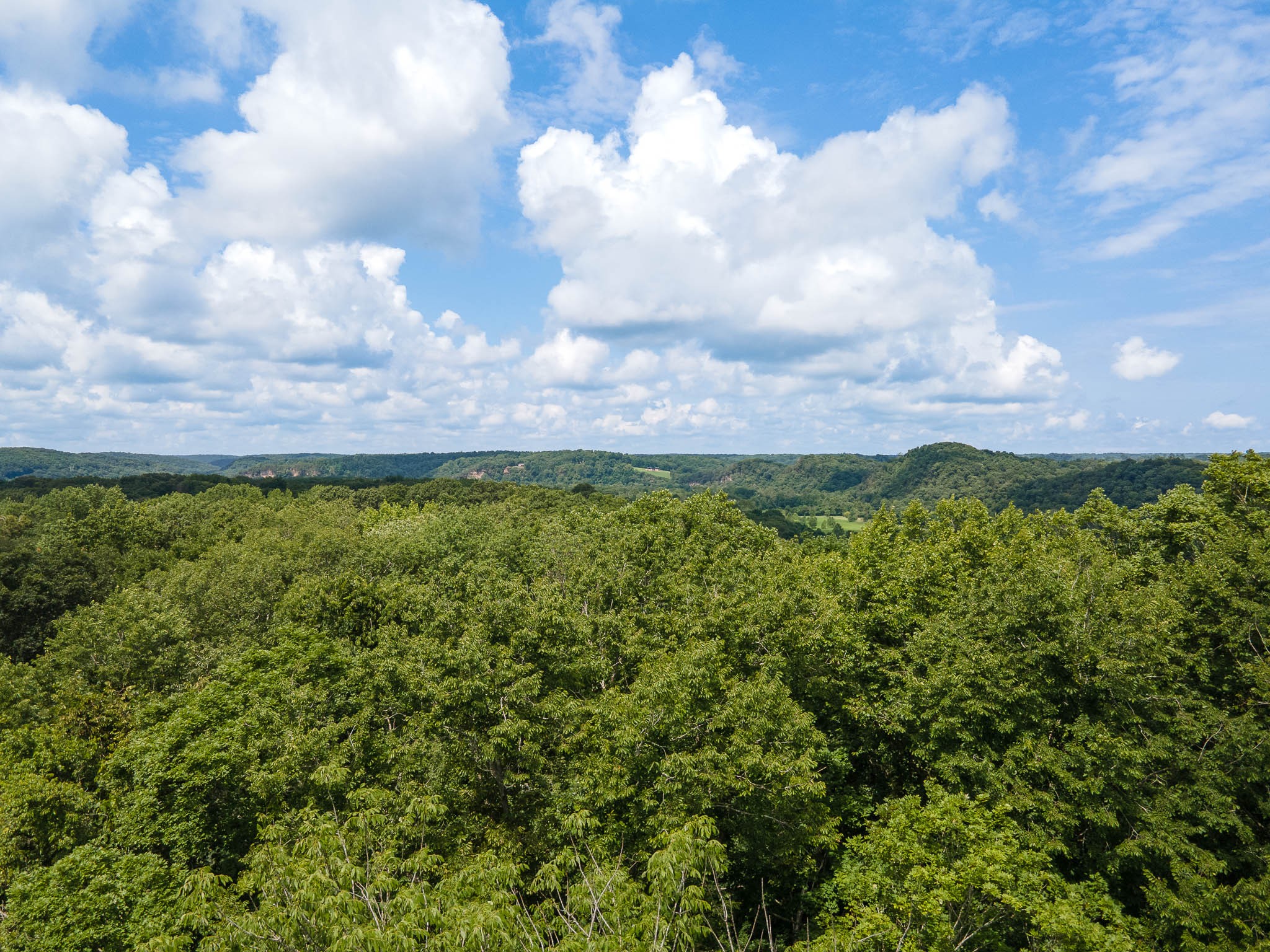 1300 Narrows Of The Harpeth Rd, Kingston Springs, TN 37082