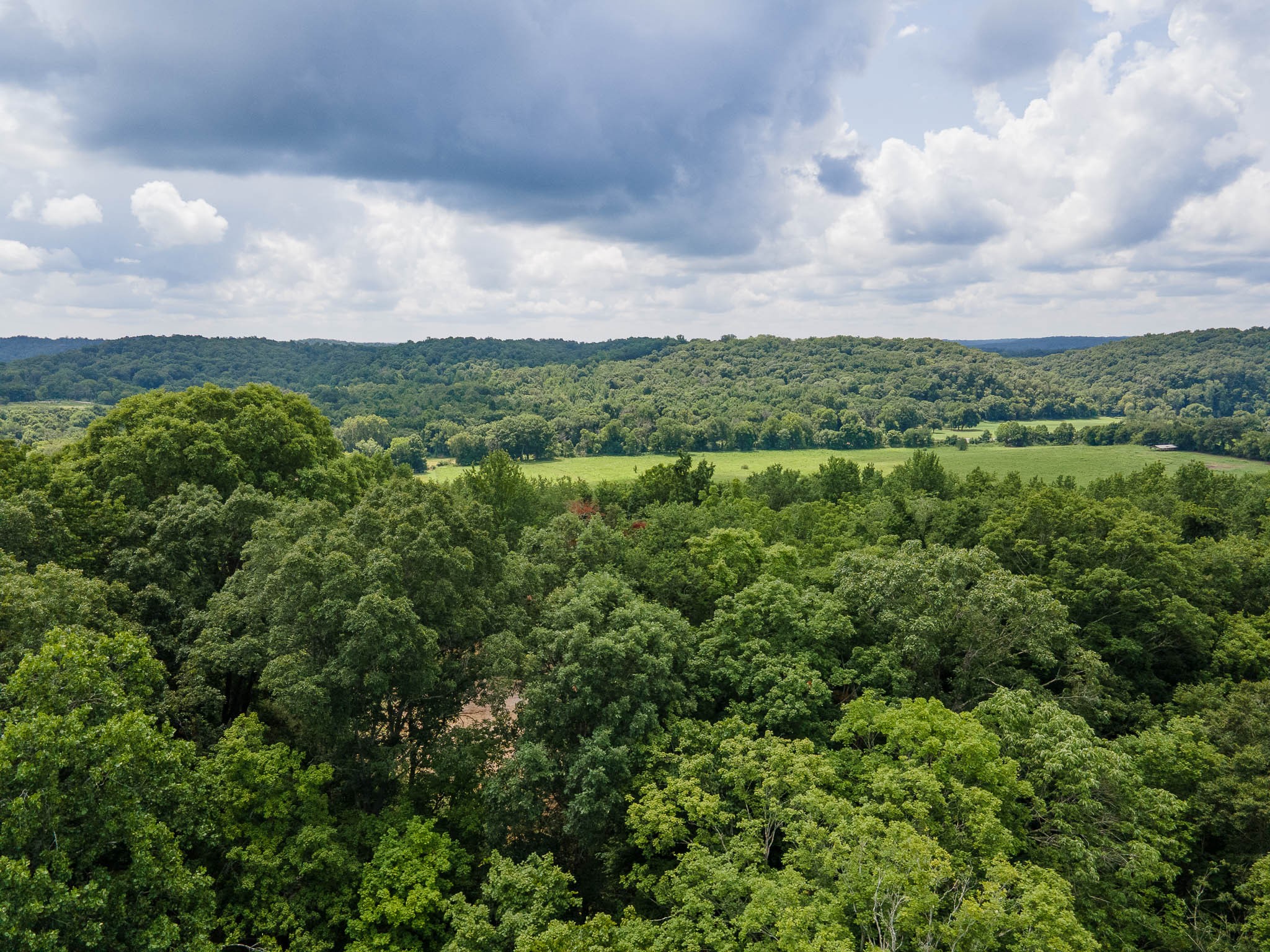 1300 Narrows Of The Harpeth Rd, Kingston Springs, TN 37082
