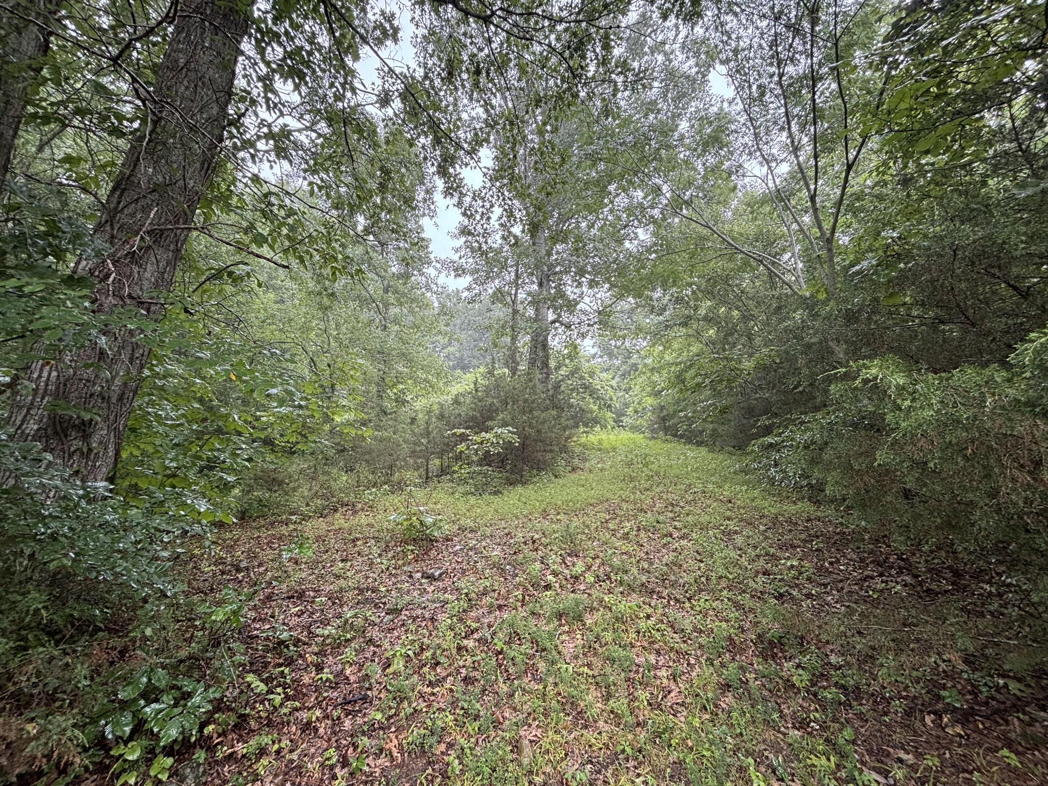 119 Dyer Branch Rd, Gordonsville, TN 38563