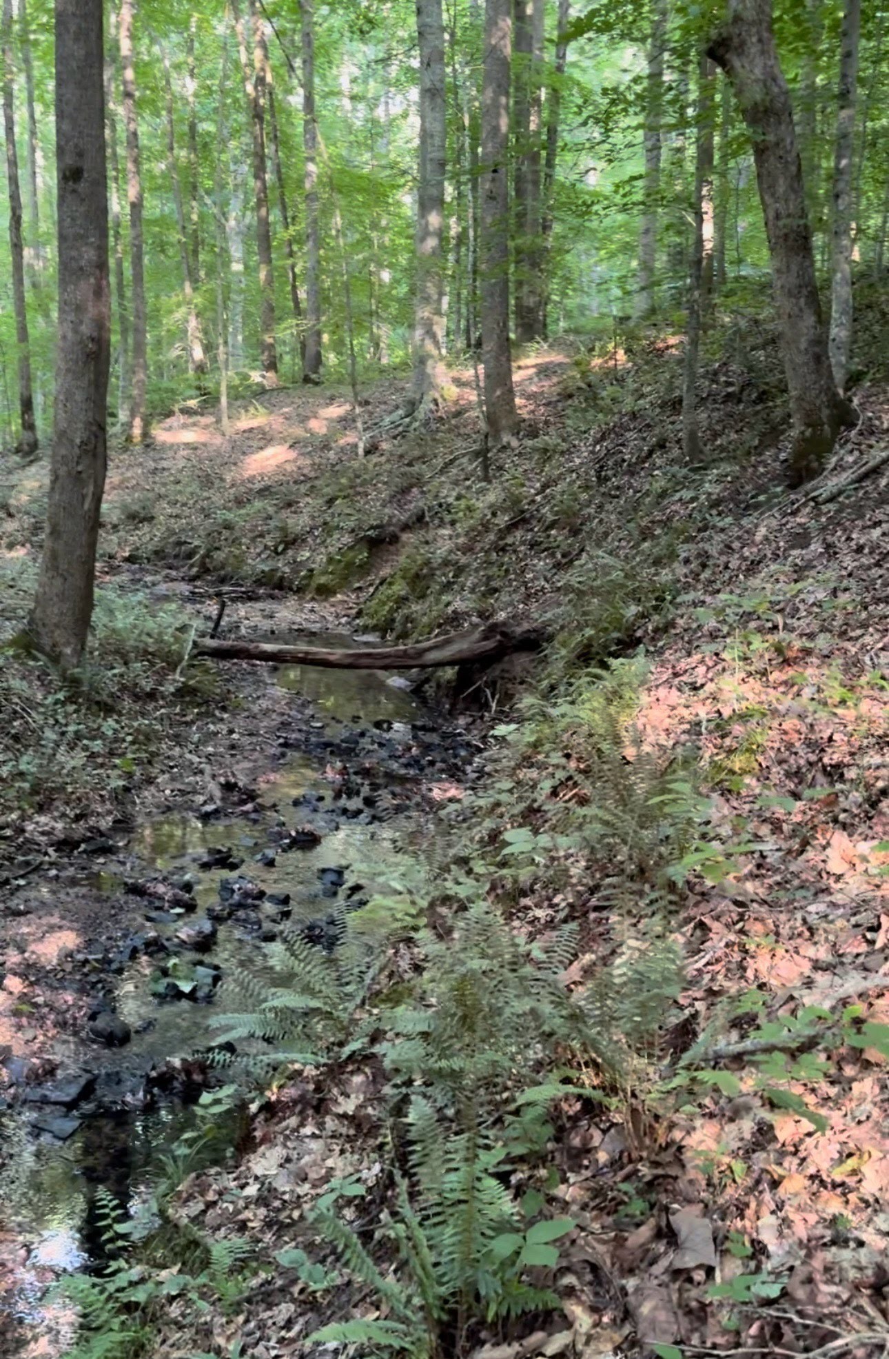 1251 Mount Pleasant Rd, Kingston Springs, TN 37082