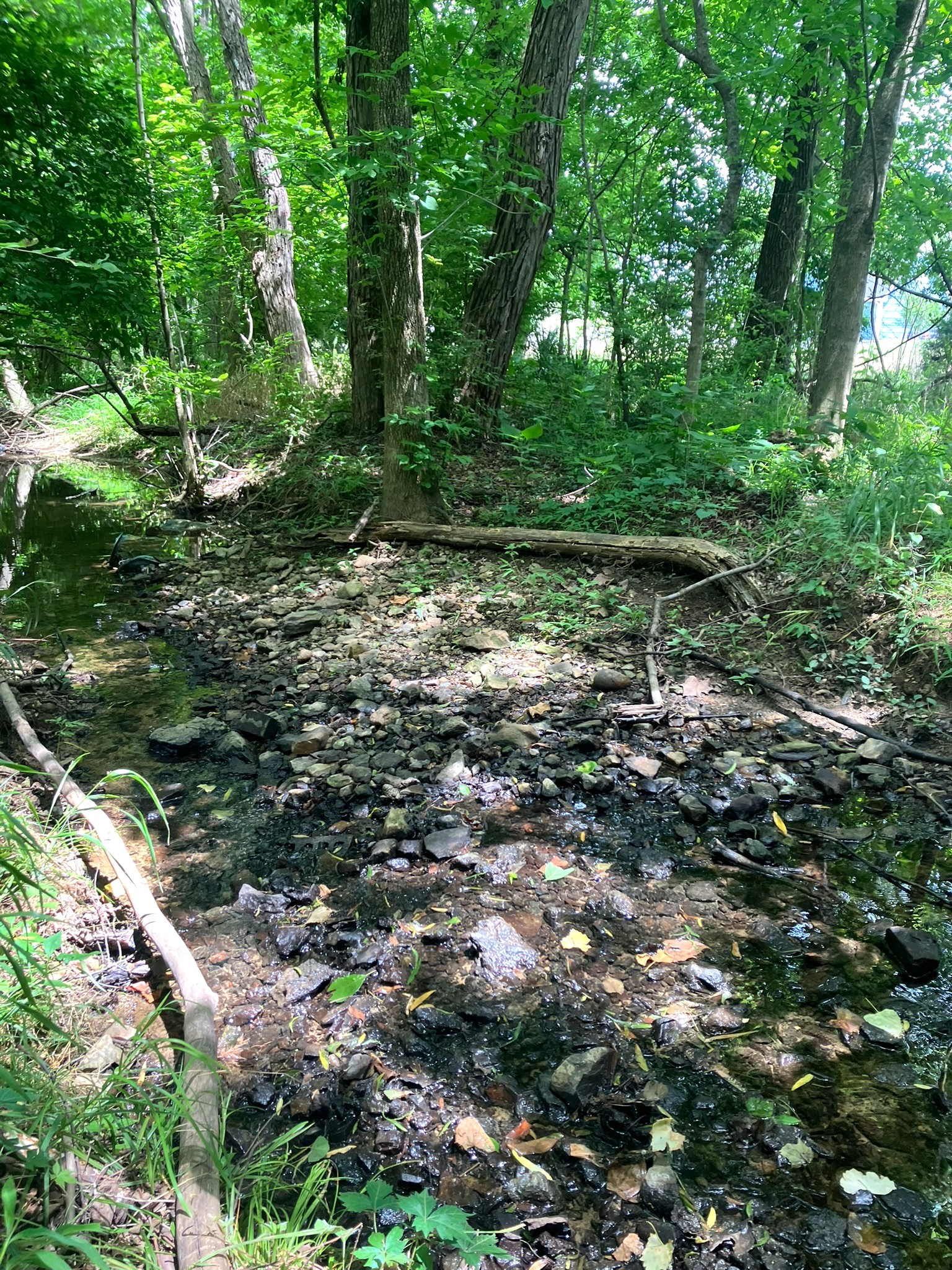 0 Township Dr, Hendersonville, TN 37075